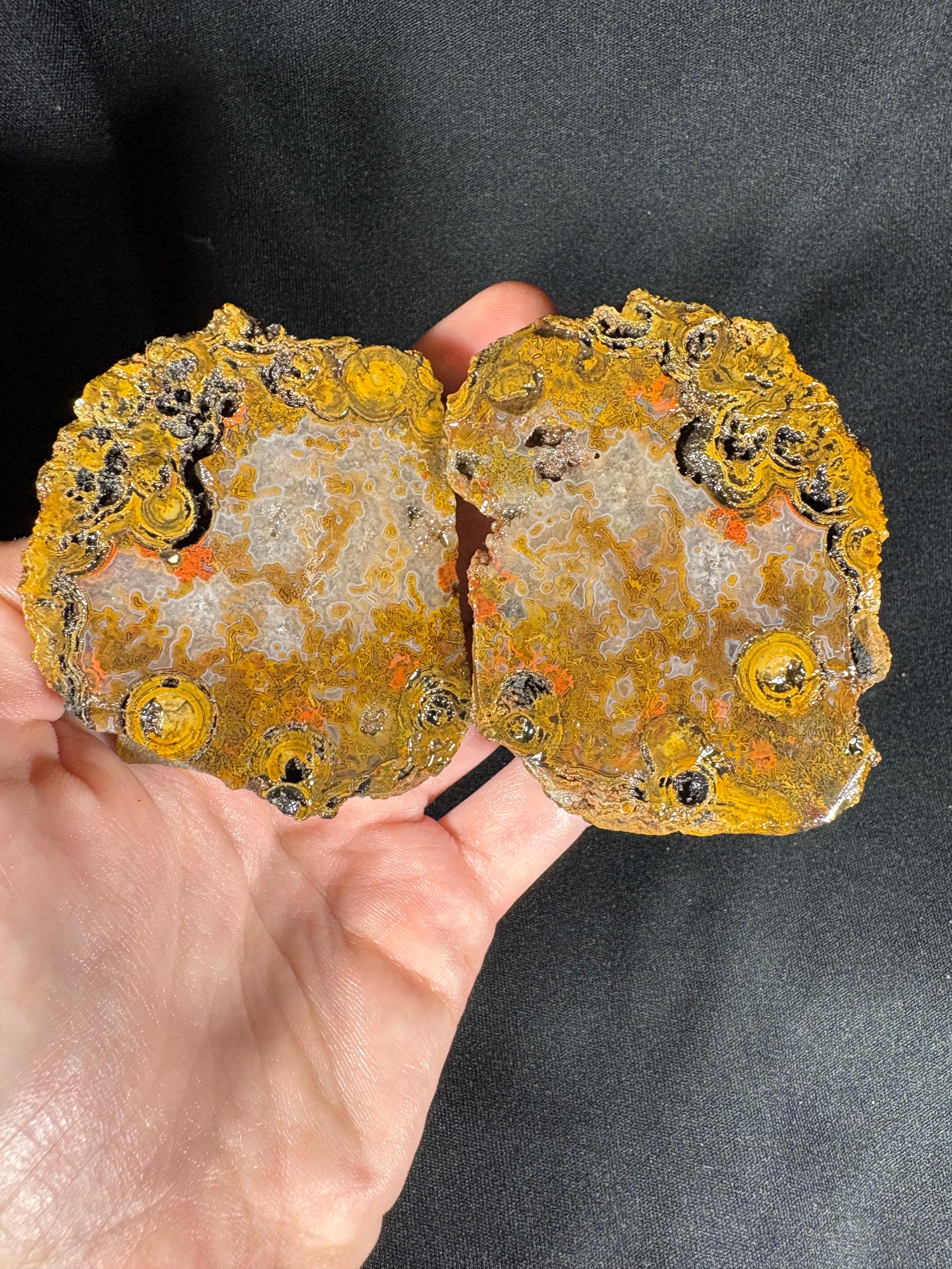 Yellow Crater Agate Pair