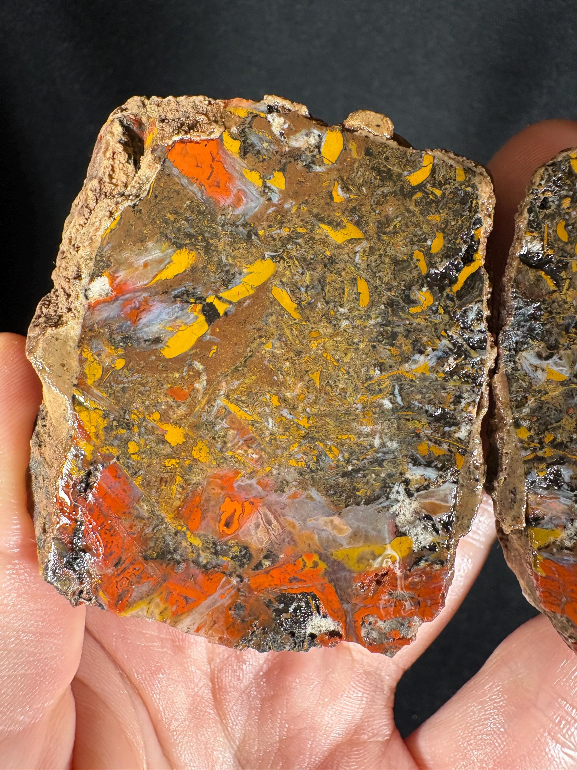 Scenic "Autumn Forest" Agate Pair - Black Sea Stone