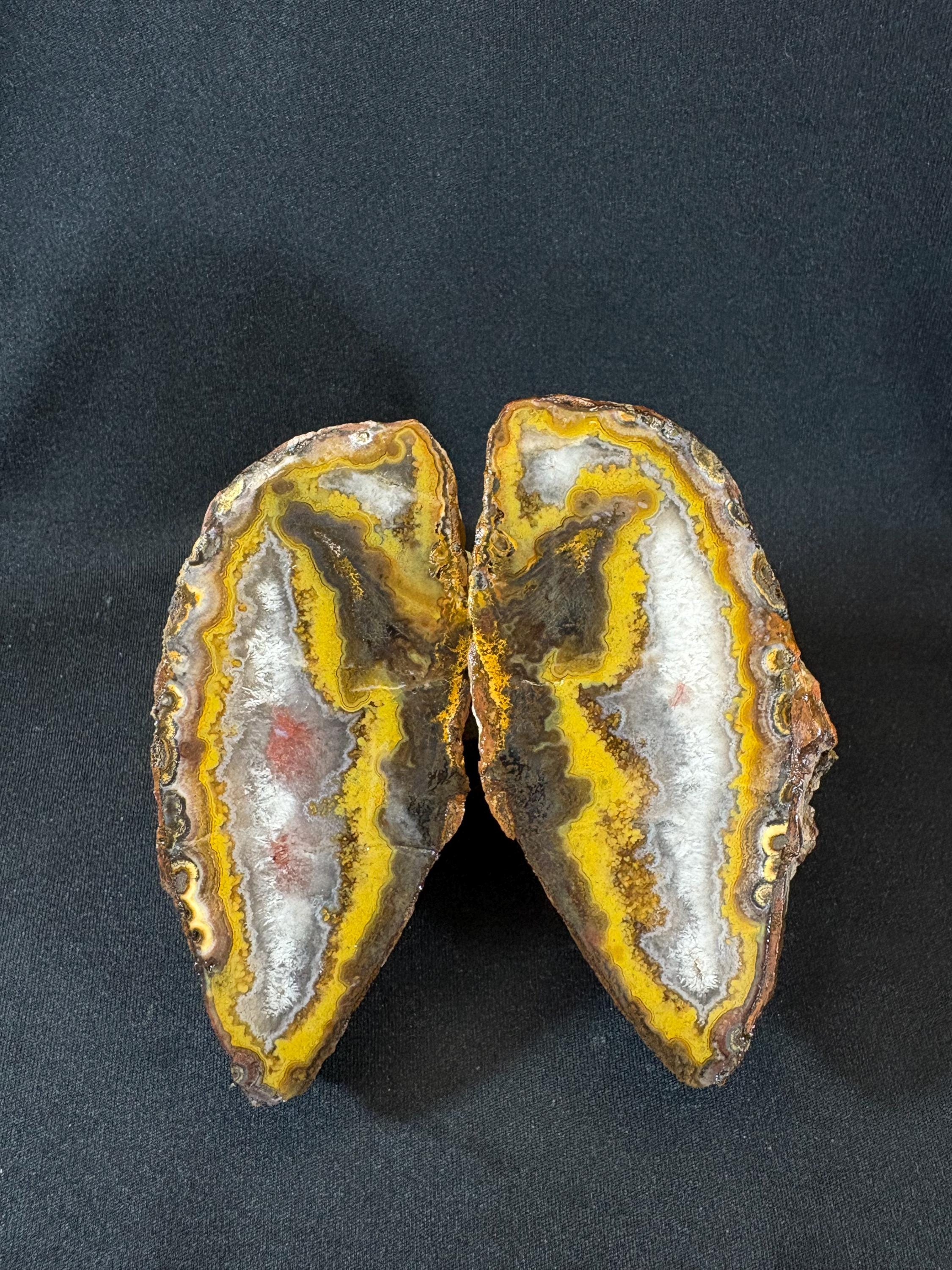 Natural Yellow Banded Agate Split Nodule Pair