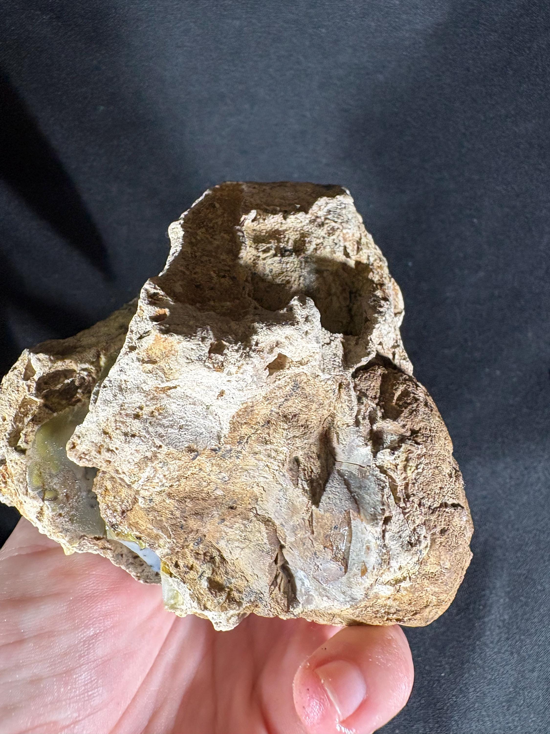 Rare Dendritic Agate Geode Pair