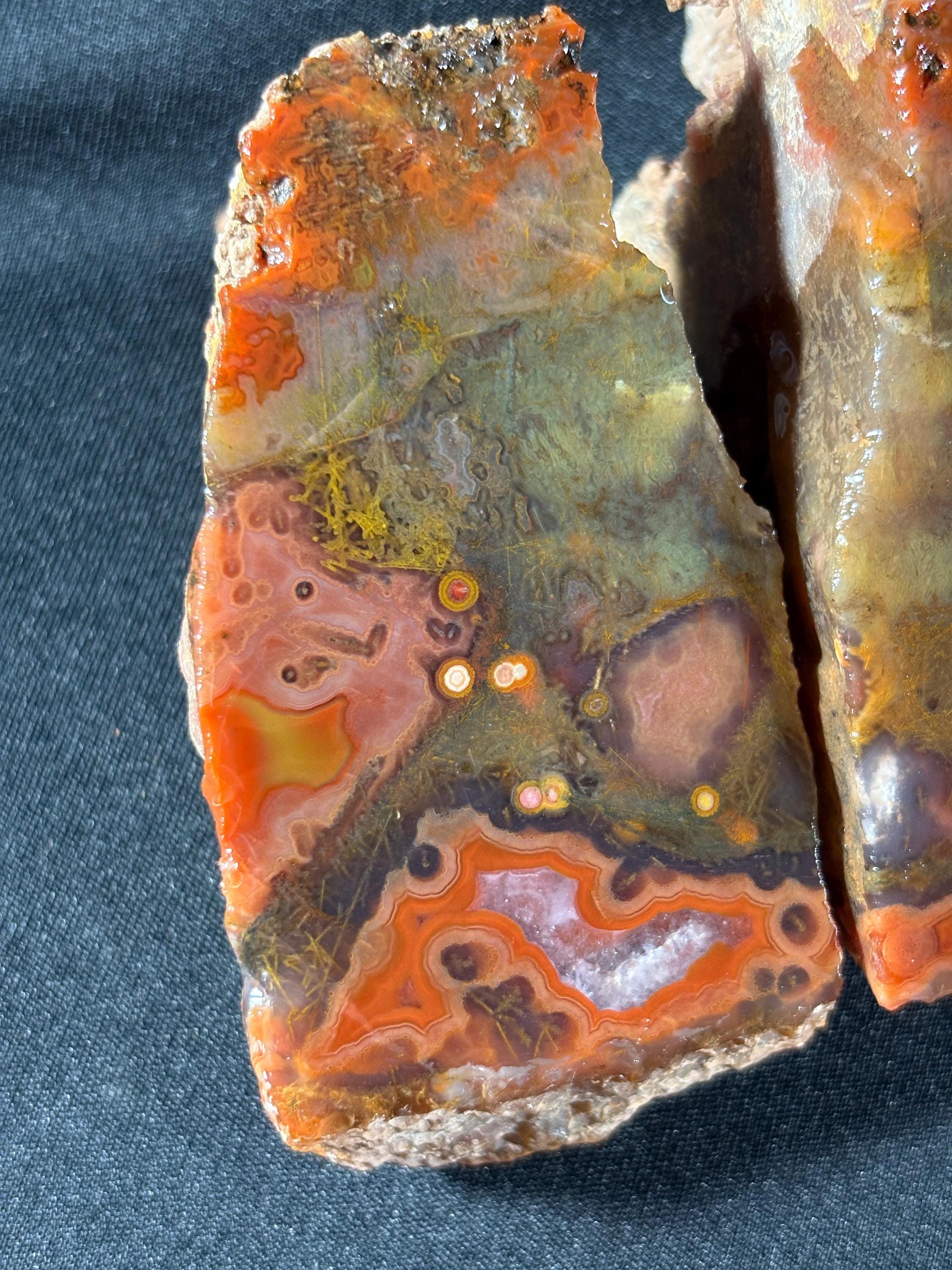 Black Sea Coastal Orbicular Agate