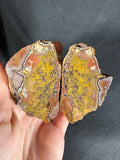 Rare Framed Plume Geode (Unpolished)