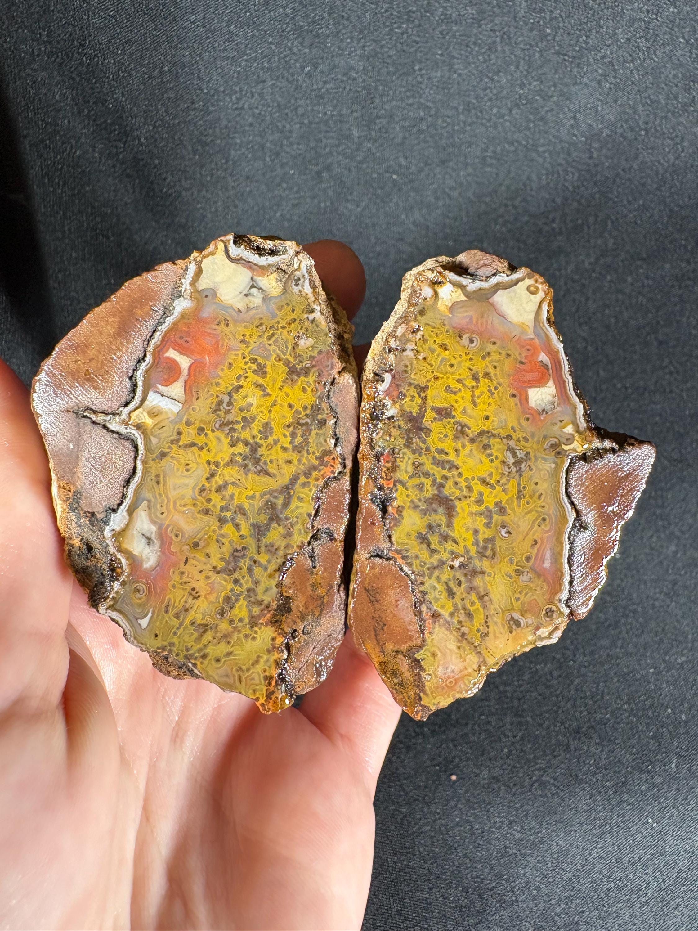 Rare Framed Plume Geode (Unpolished)
