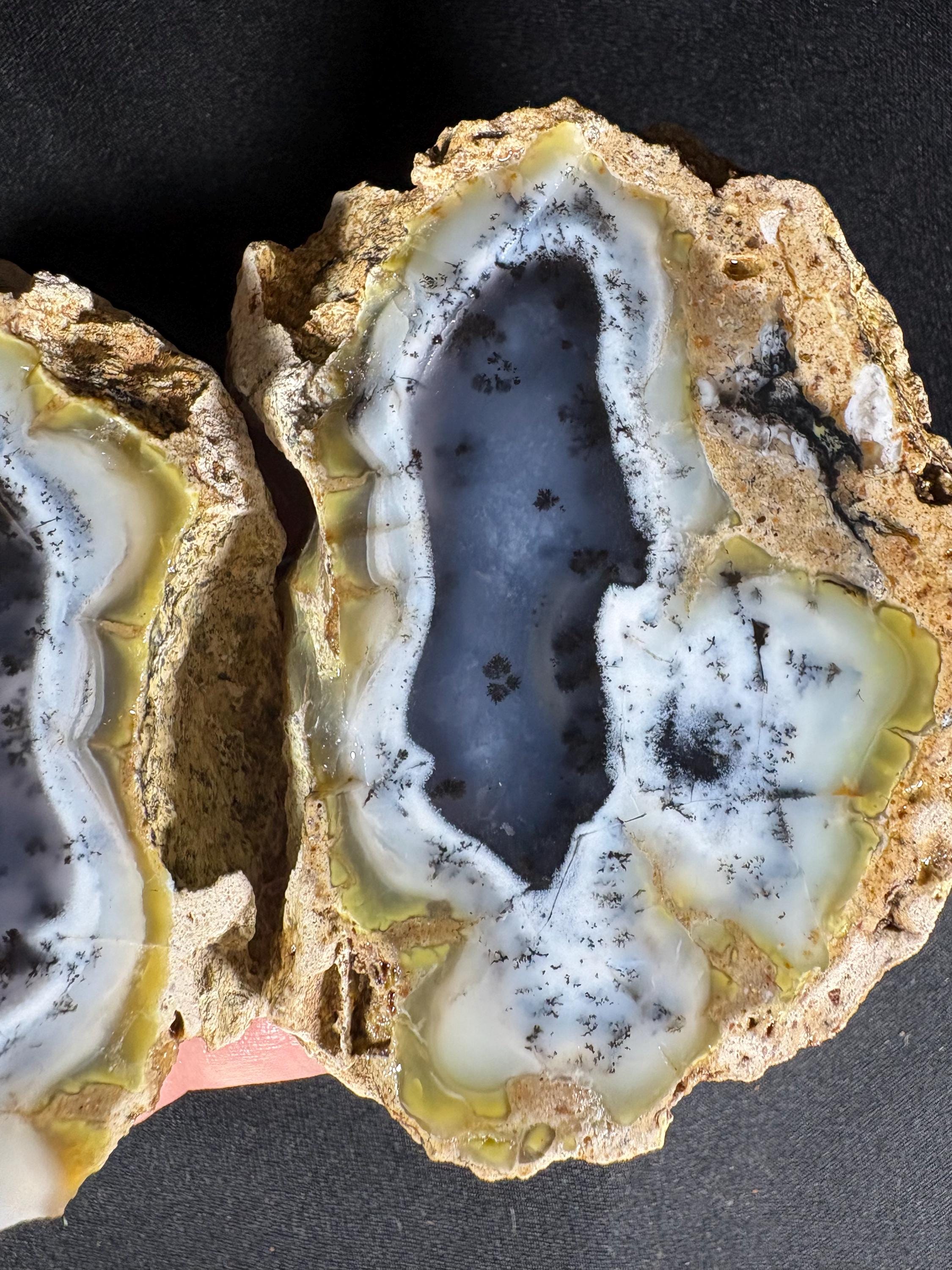 Rare Dendritic Agate Geode Pair