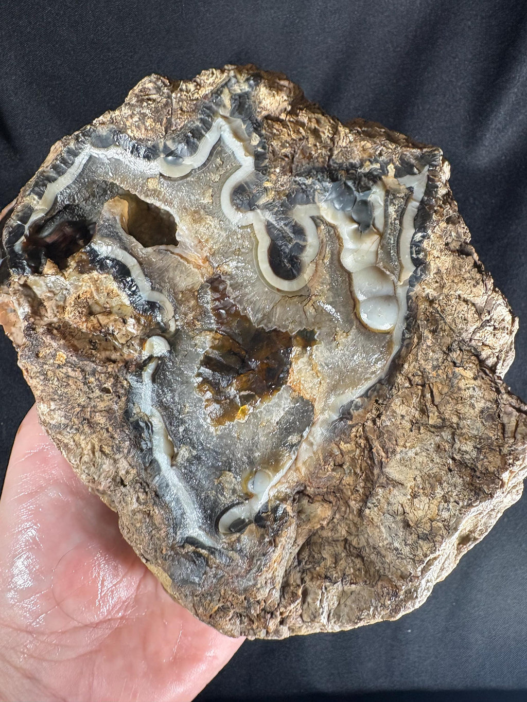 Turkish Eye Agate Geode Pair - Natural Orbicular Evil Eye Protection Stone