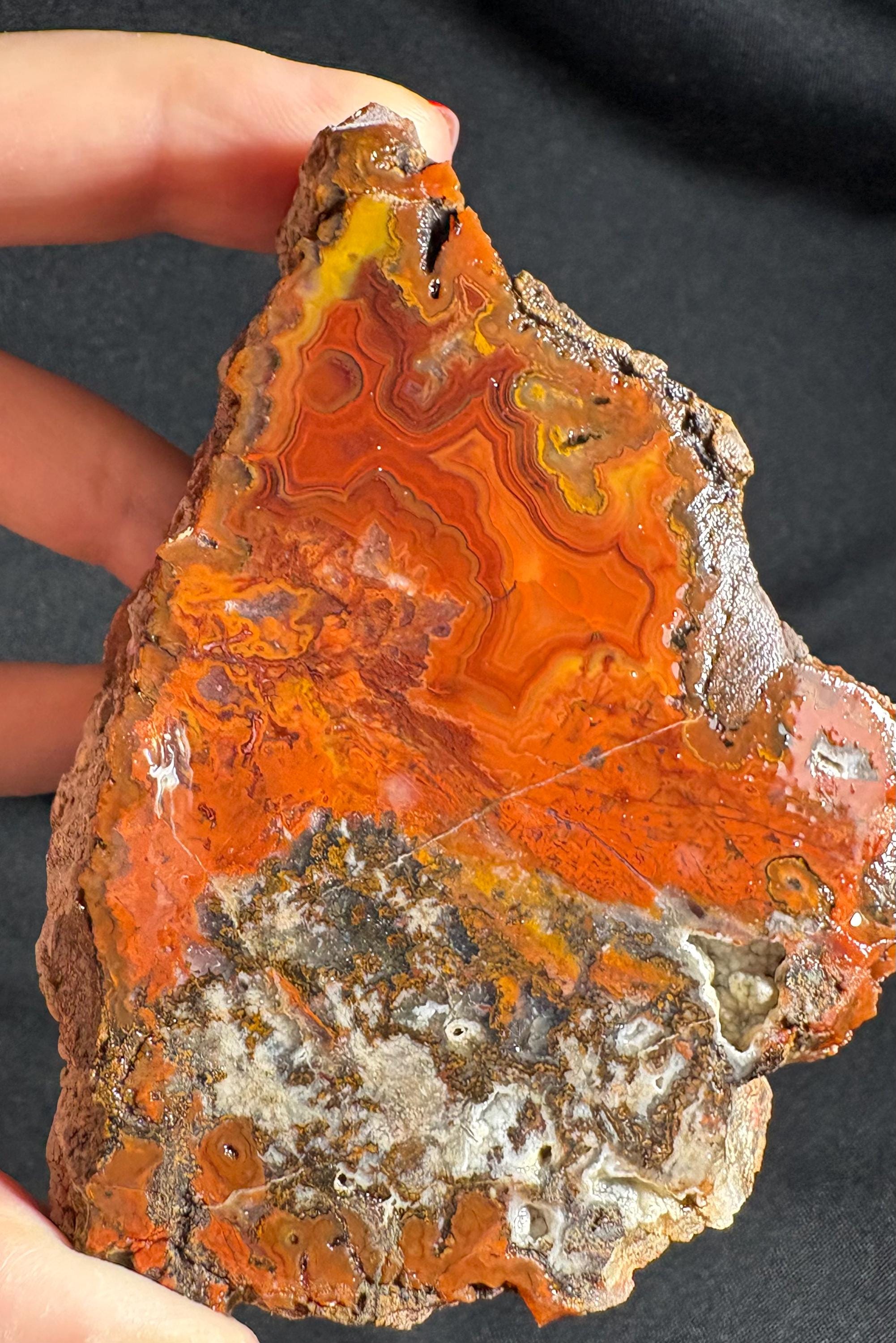 Raw Crazy Lace Agate Pair