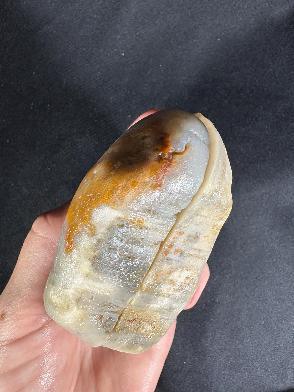 Fried Egg Agate Geode Pair - Sunny Side Up Yellow Plume Center - Raw Fun Collector Specimen