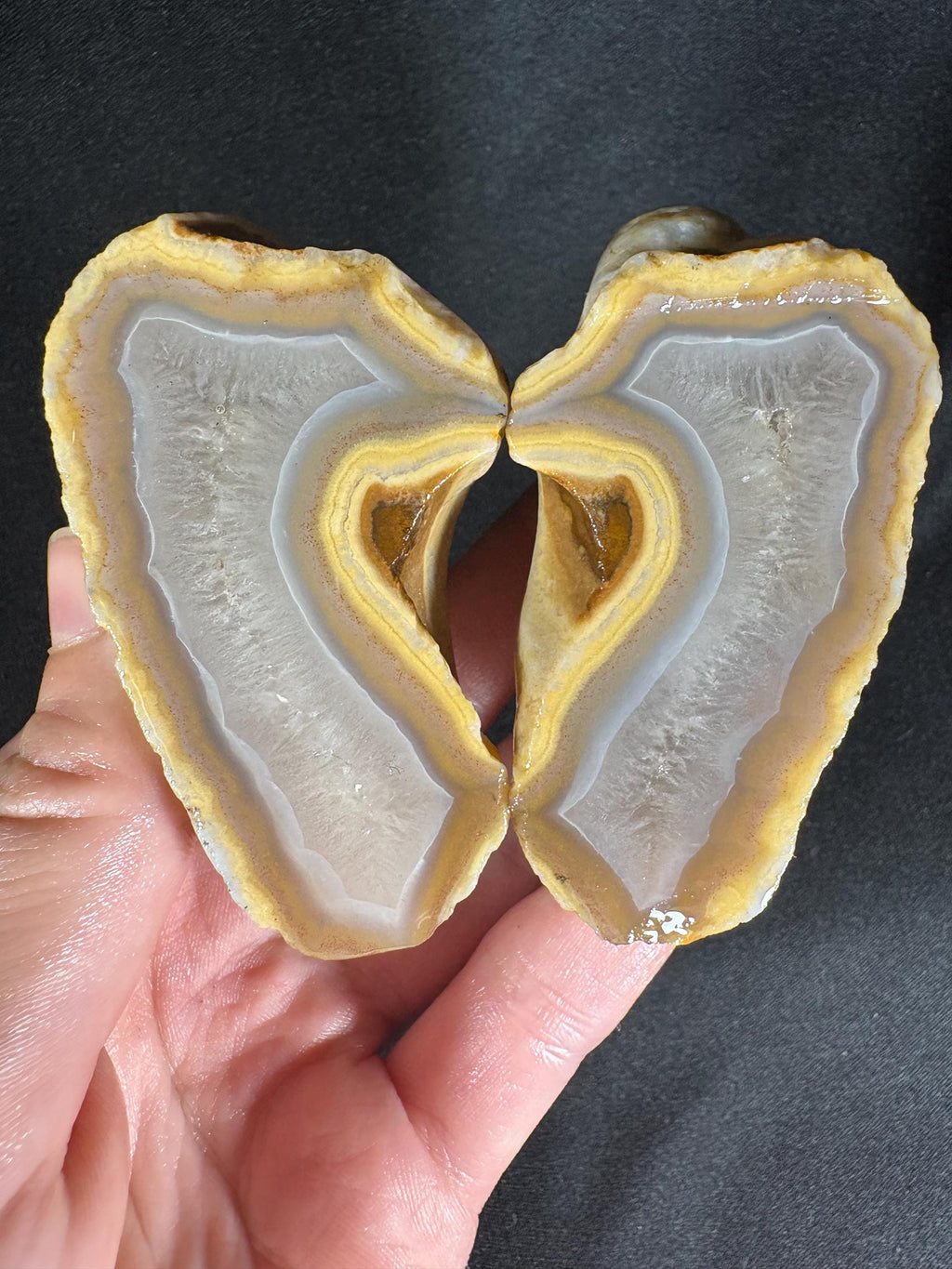 Banana Yellow Agate Geode Pair