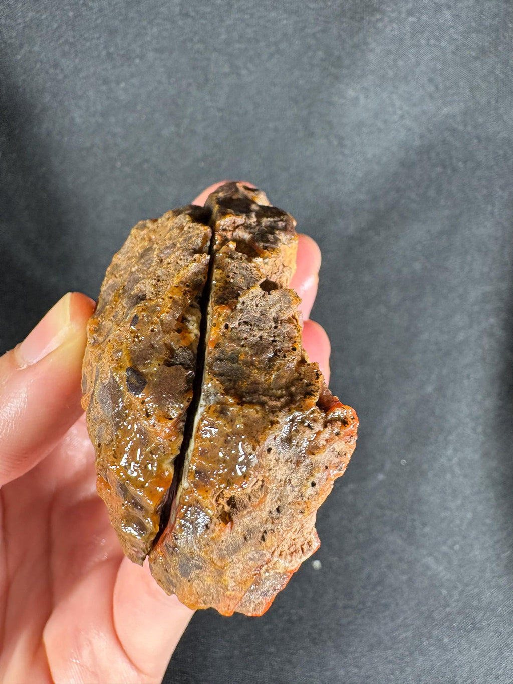 Rare Red Almus Agate Pair
