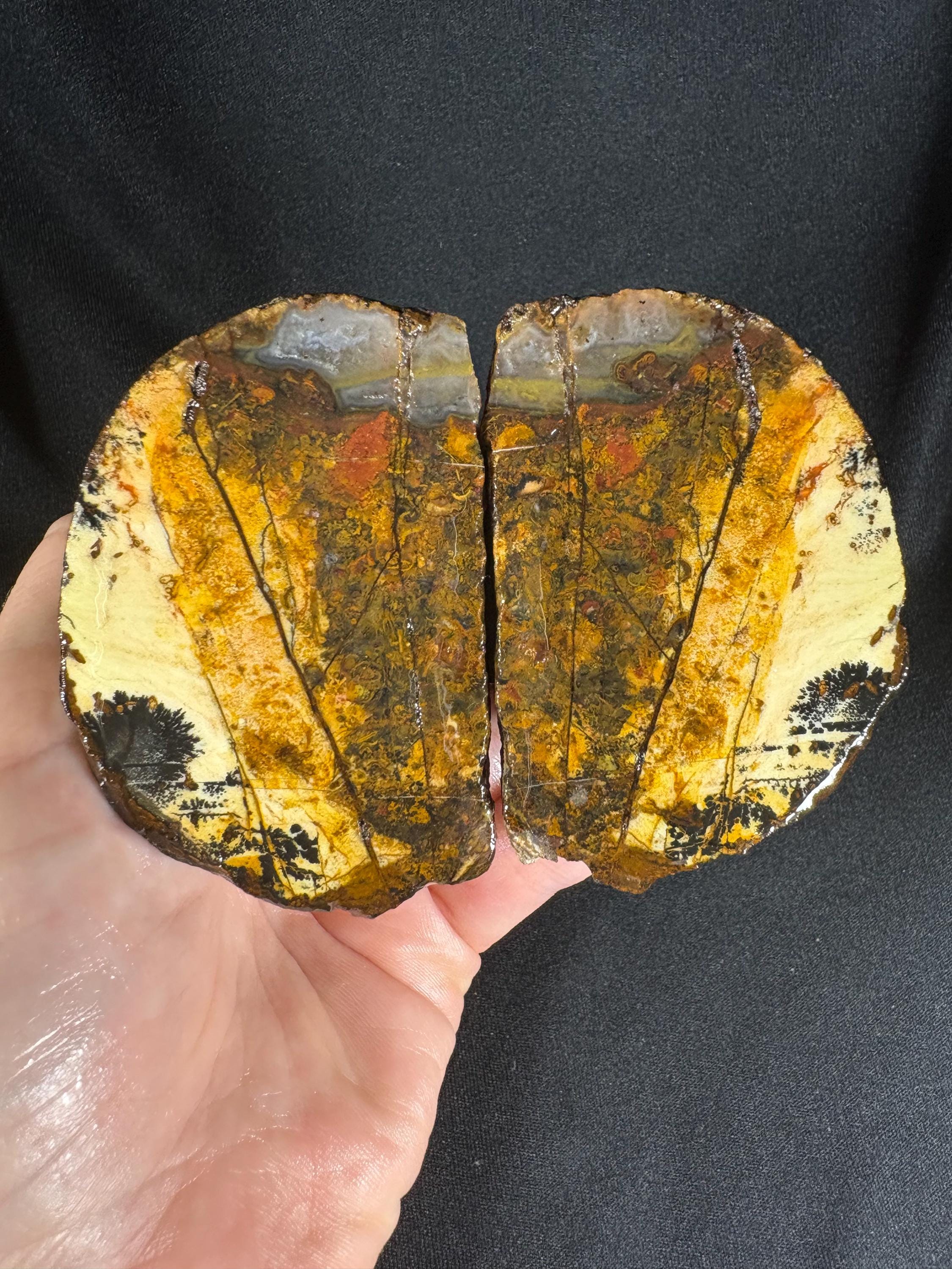Golden Plume Agate Pair – Scenic "Autumn Forest" Dendritic Geode