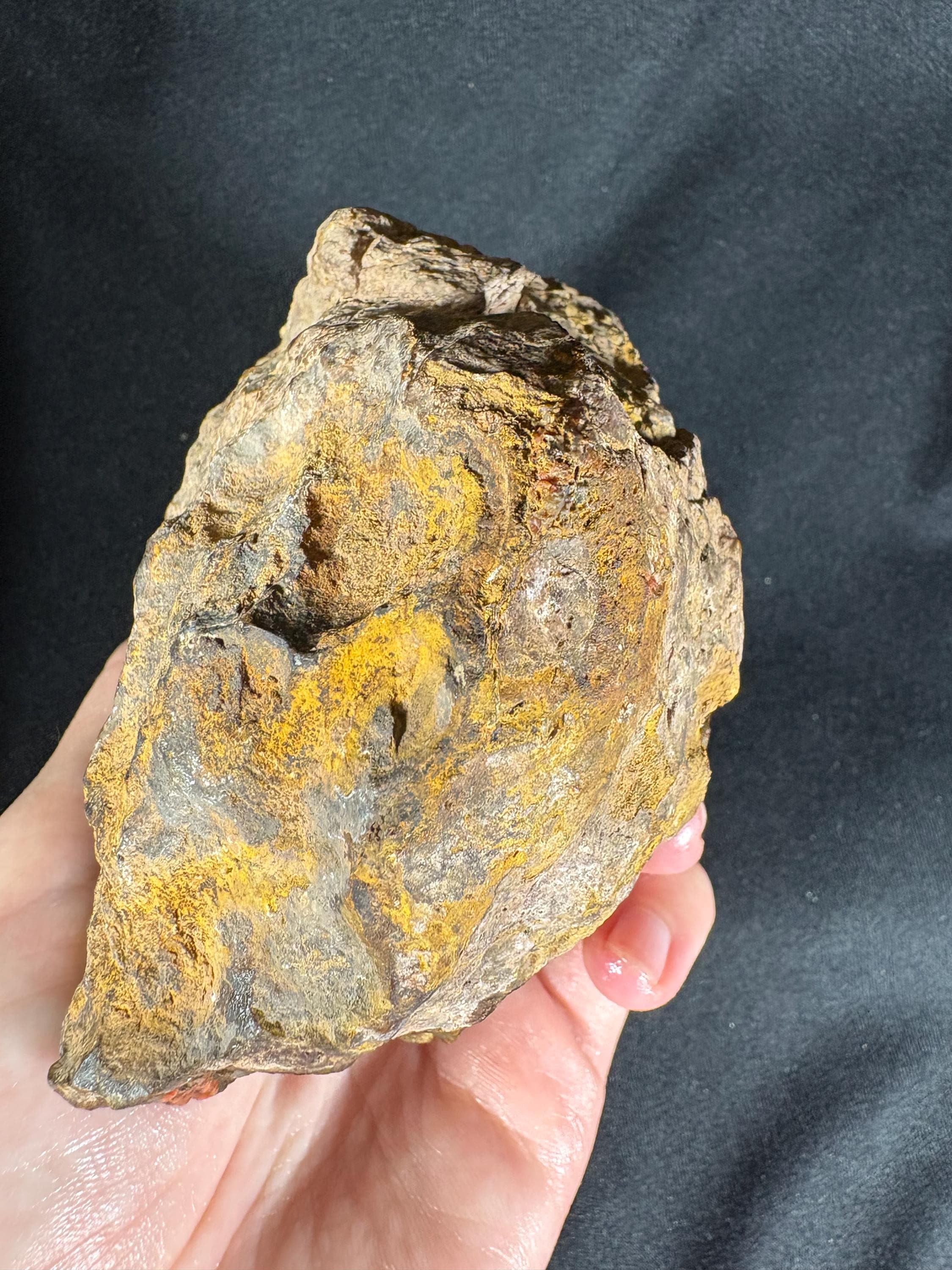 Unpolished Karadeniz Forest Agate