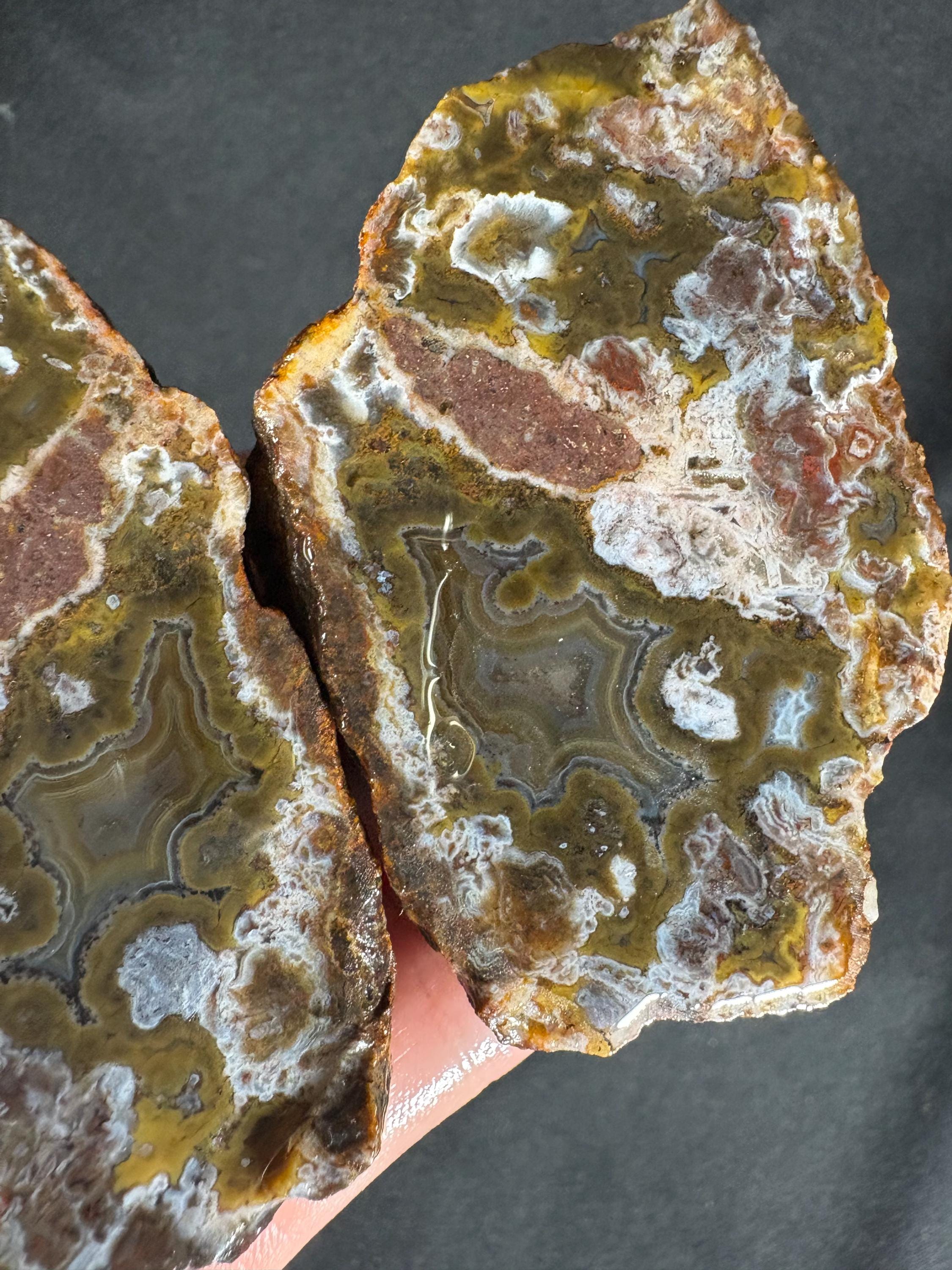 Turkish Moss Agate Pair