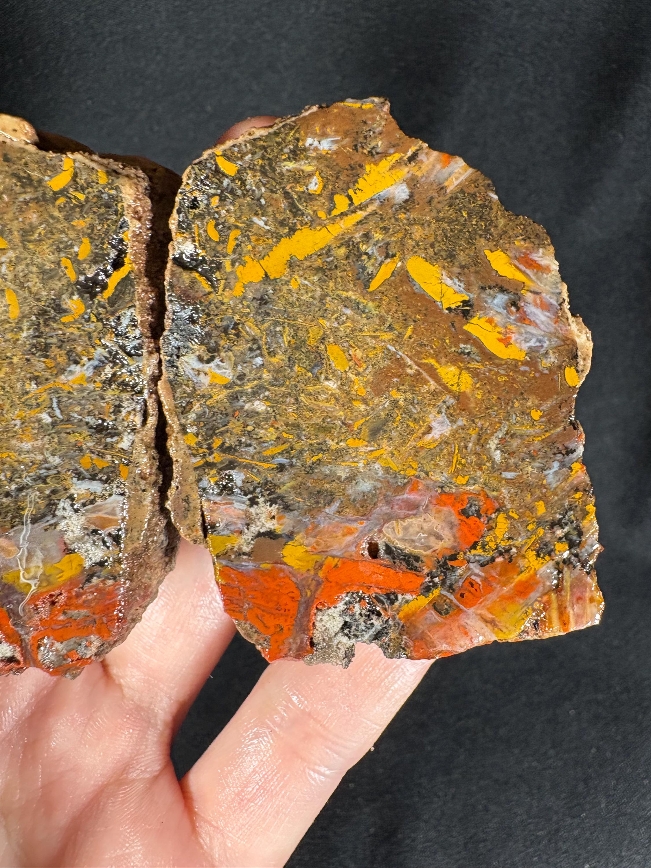 Scenic "Autumn Forest" Agate Pair - Black Sea Stone