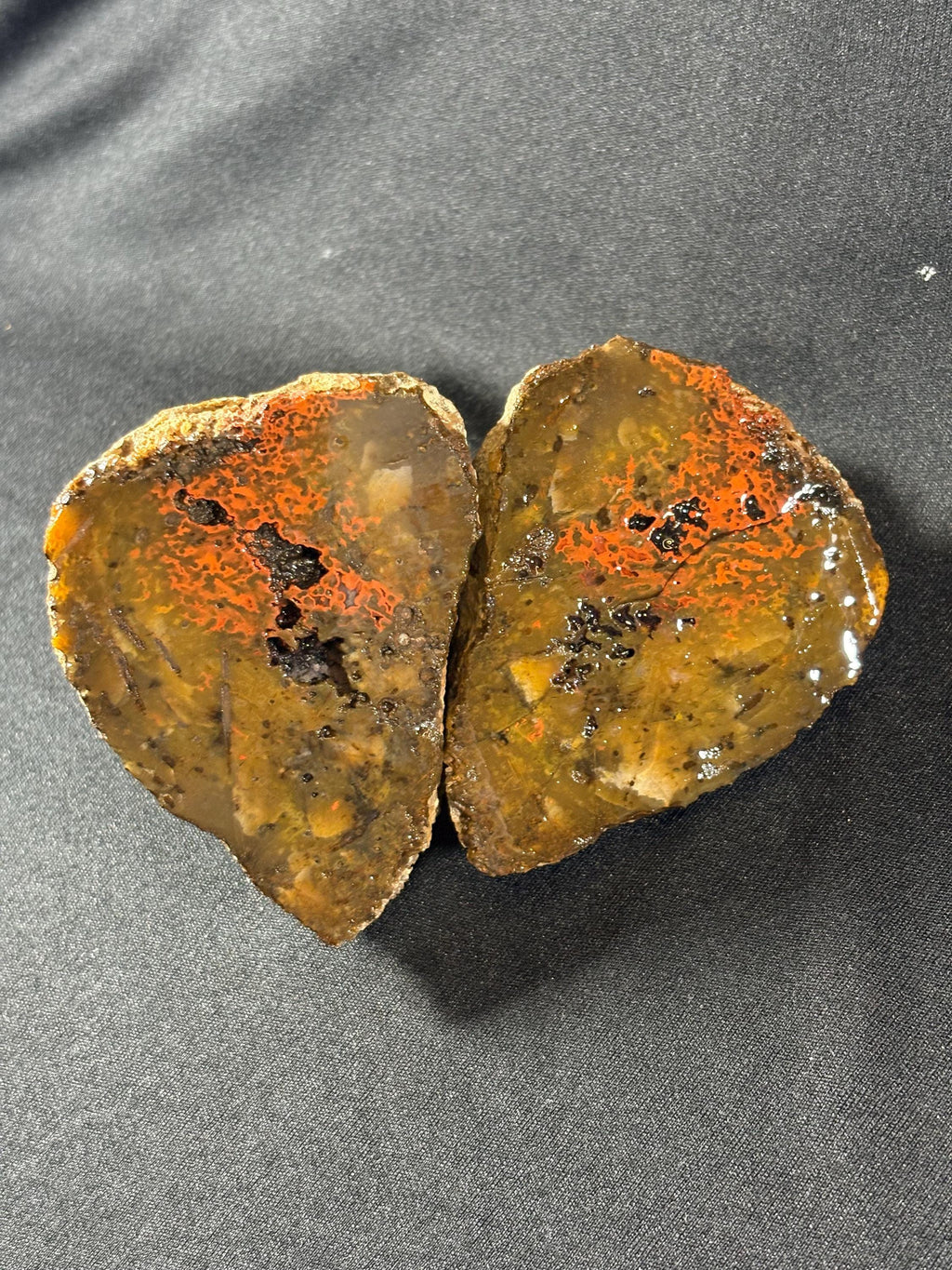 Raw Orbicular Agate Pair from Black Sea Region