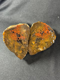 Raw Orbicular Agate Pair from Black Sea Region
