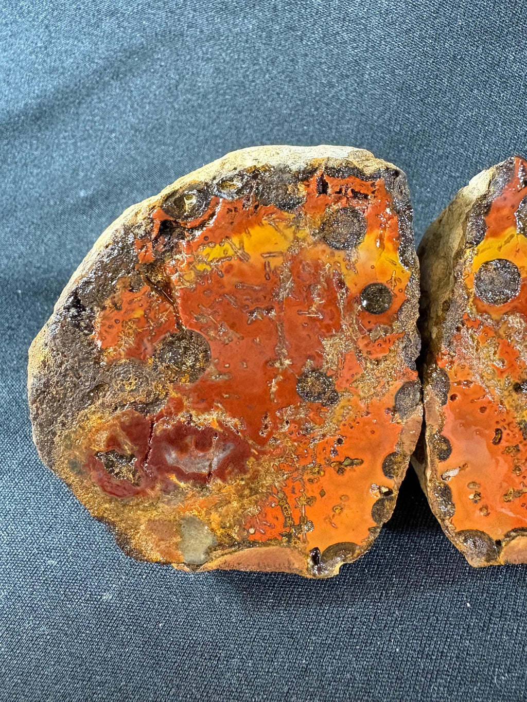 Raw Orbicular Agate Pair - Black Sea Volcanic Stone