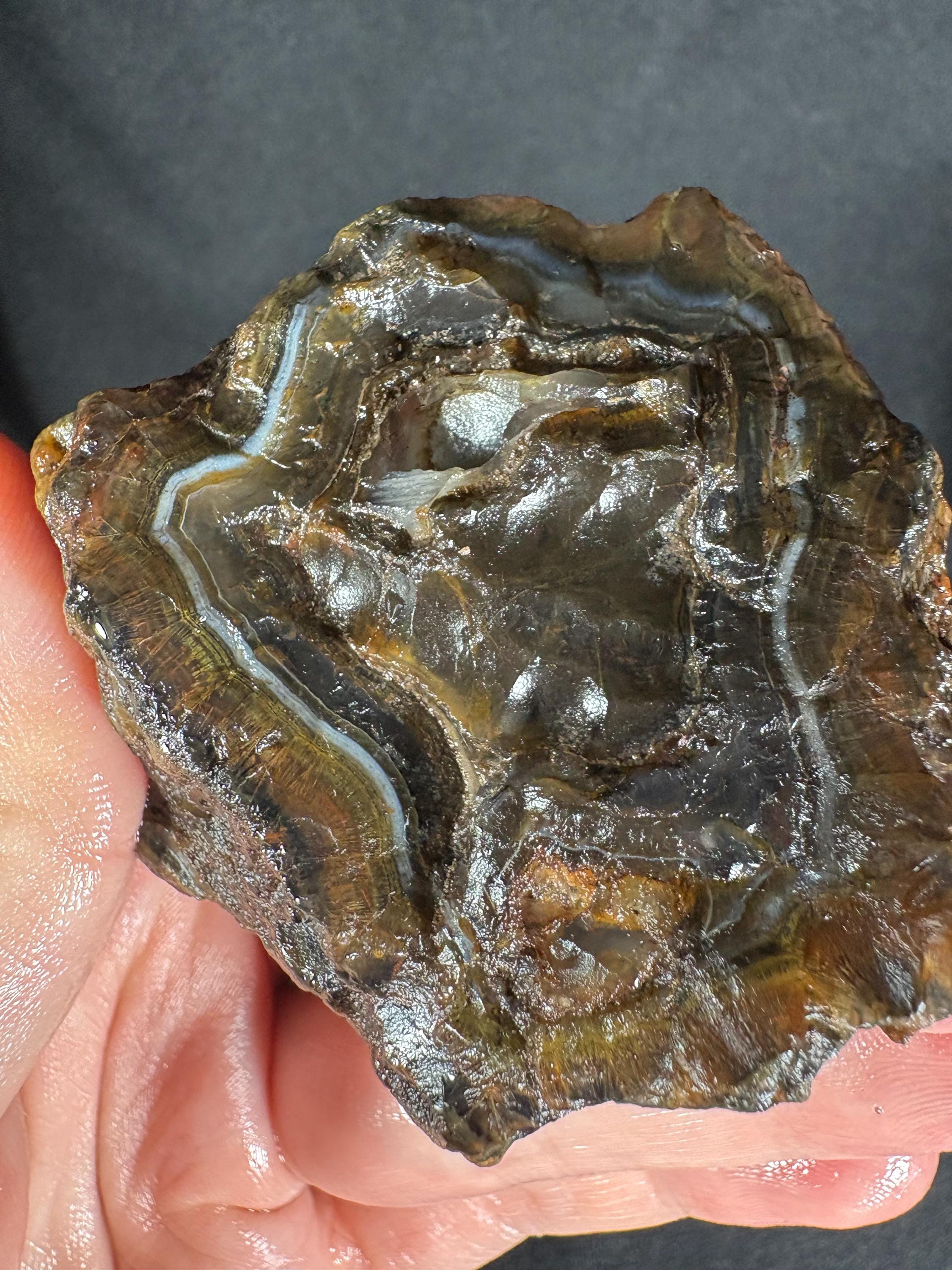Golden Moss Rim Agate Pair