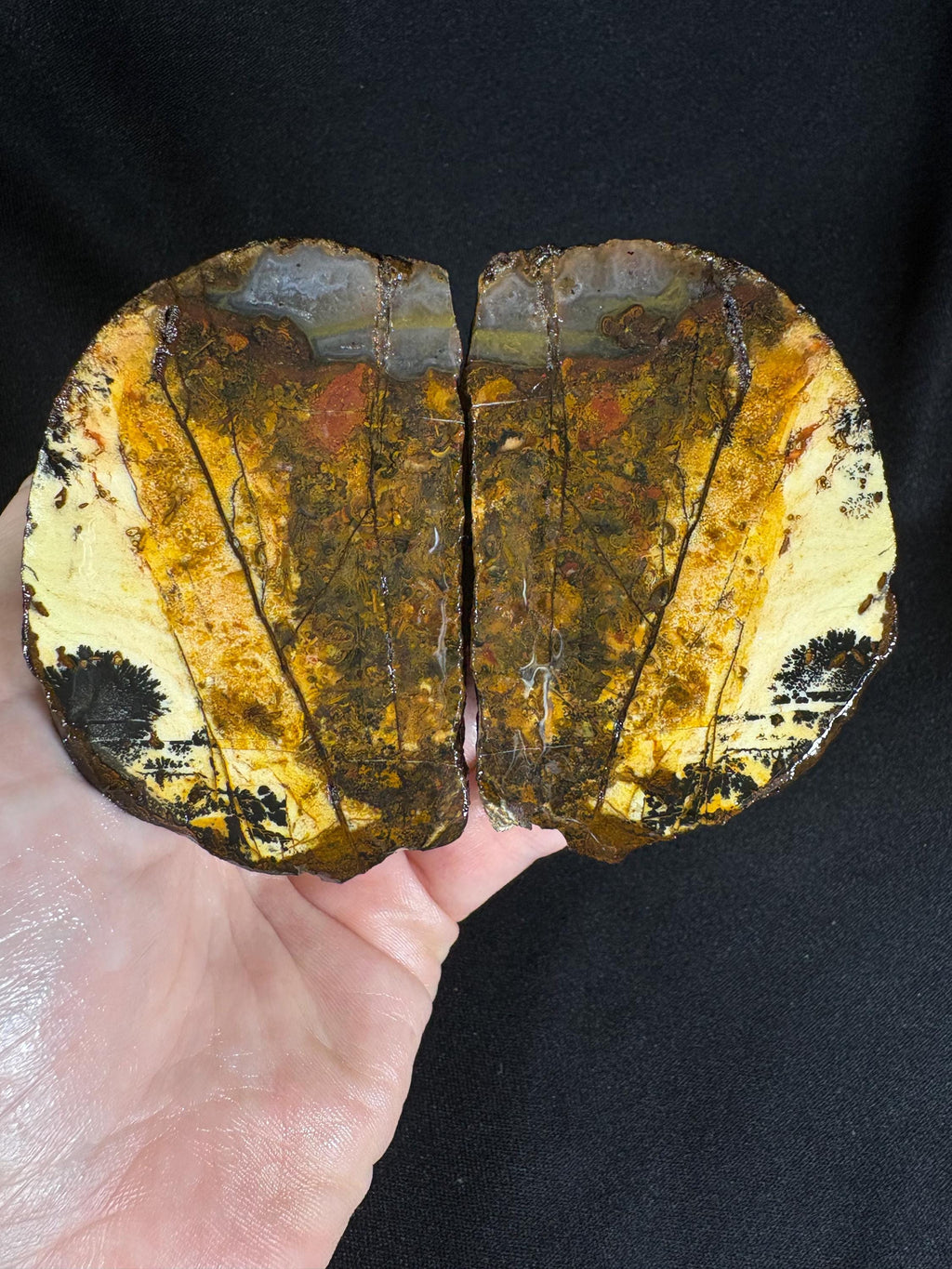 Golden Plume Agate Pair – Scenic "Autumn Forest" Dendritic Geode