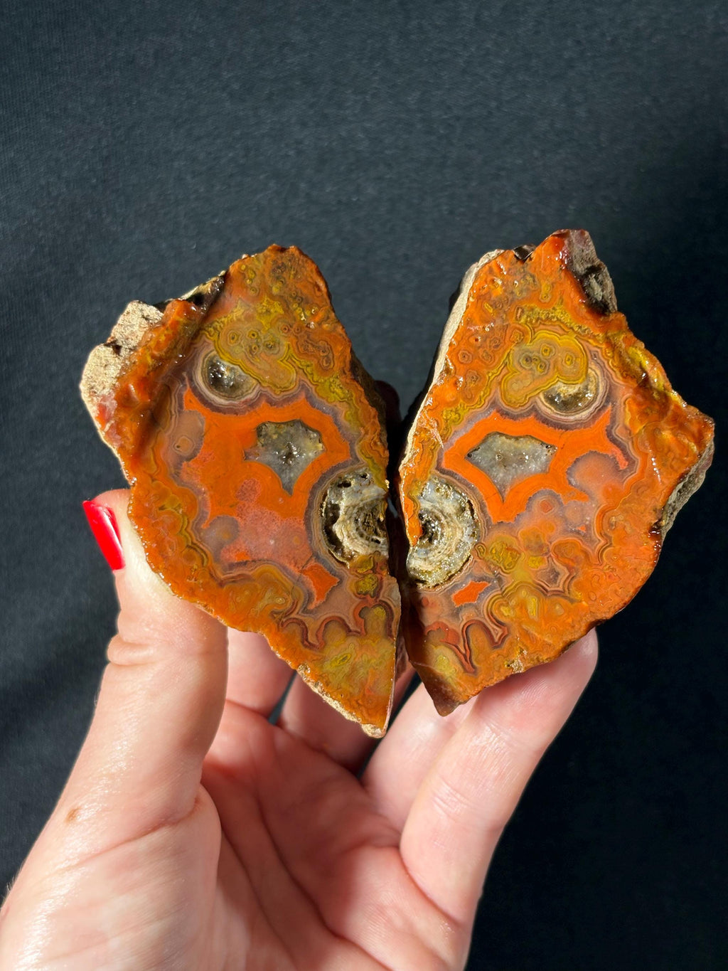 Raw Orbicular Agate Pair from Black Sea Region