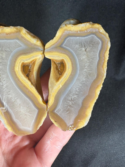 Banana Yellow Agate Geode Pair