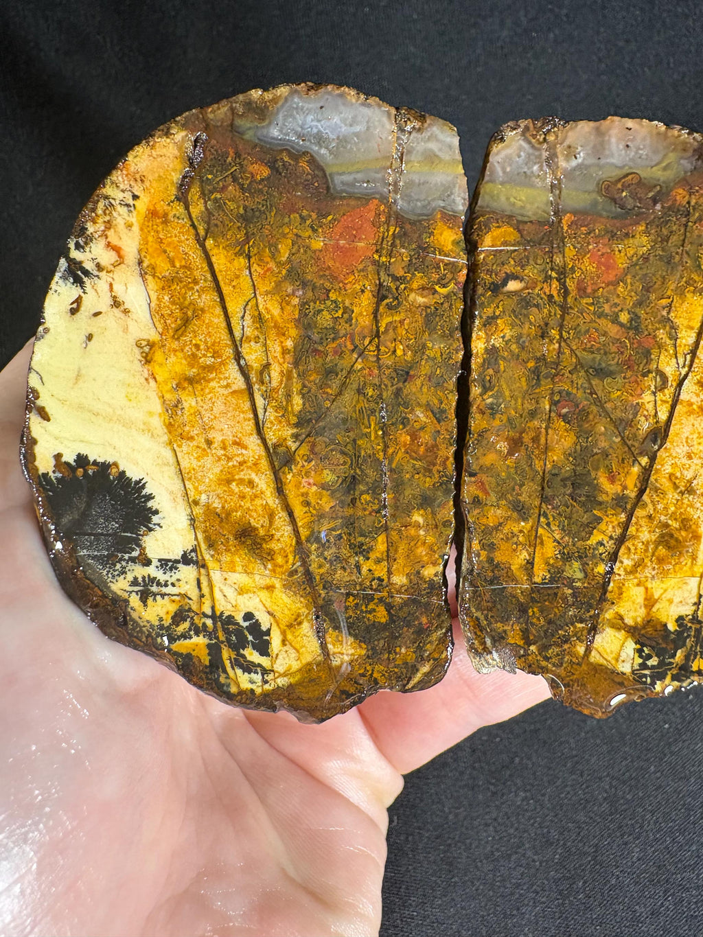 Golden Plume Agate Pair – Scenic "Autumn Forest" Dendritic Geode