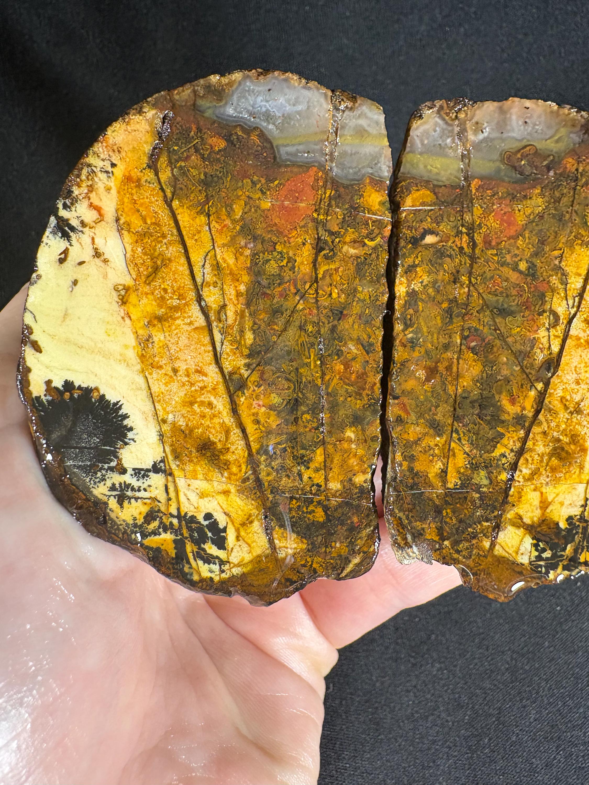 Golden Plume Agate Pair – Scenic "Autumn Forest" Dendritic Geode