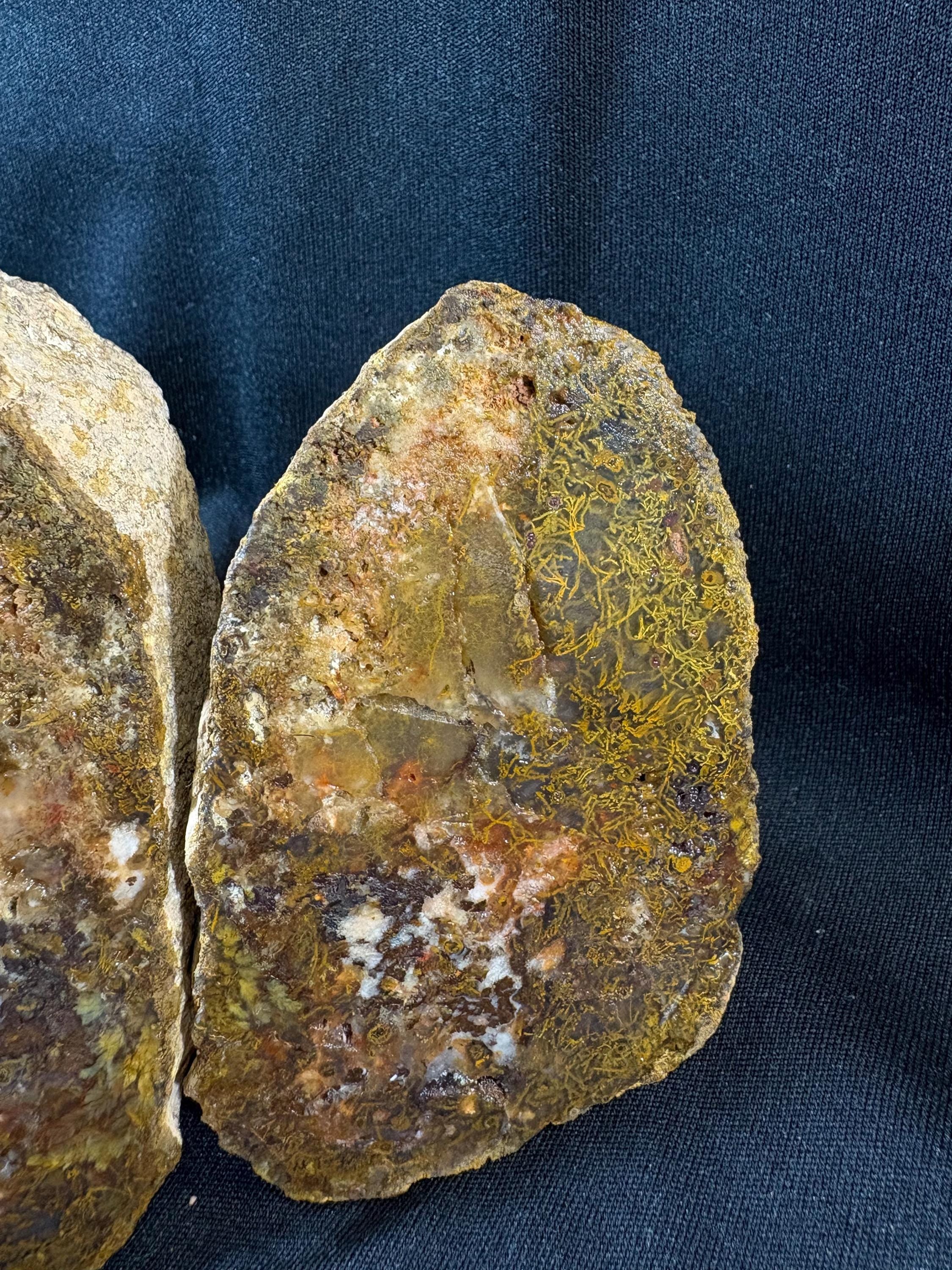 Natural Moss Agate Split Nodule Pair