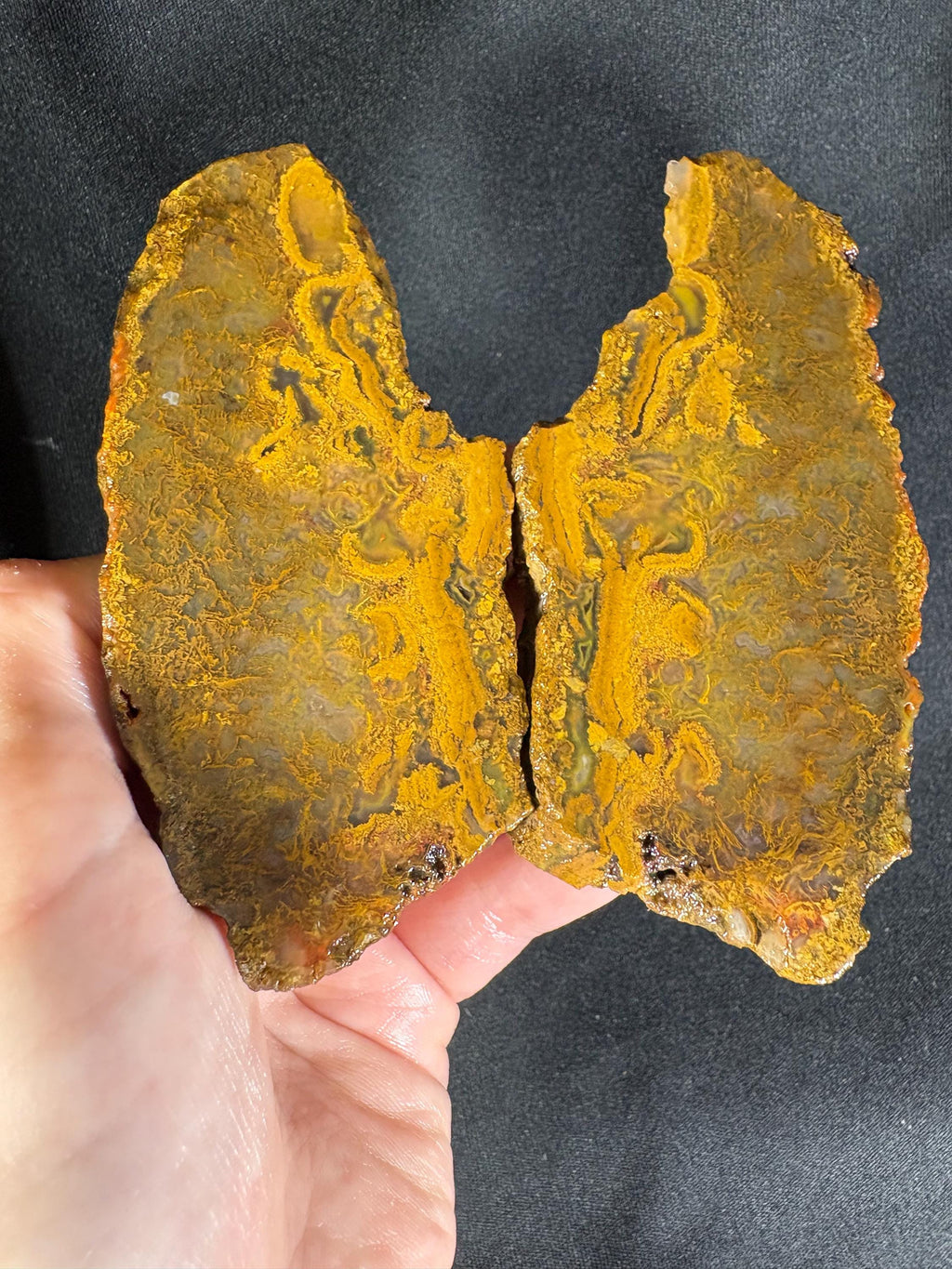 Black Sea Honey Moss Agate Pair – Golden Amber Plume
