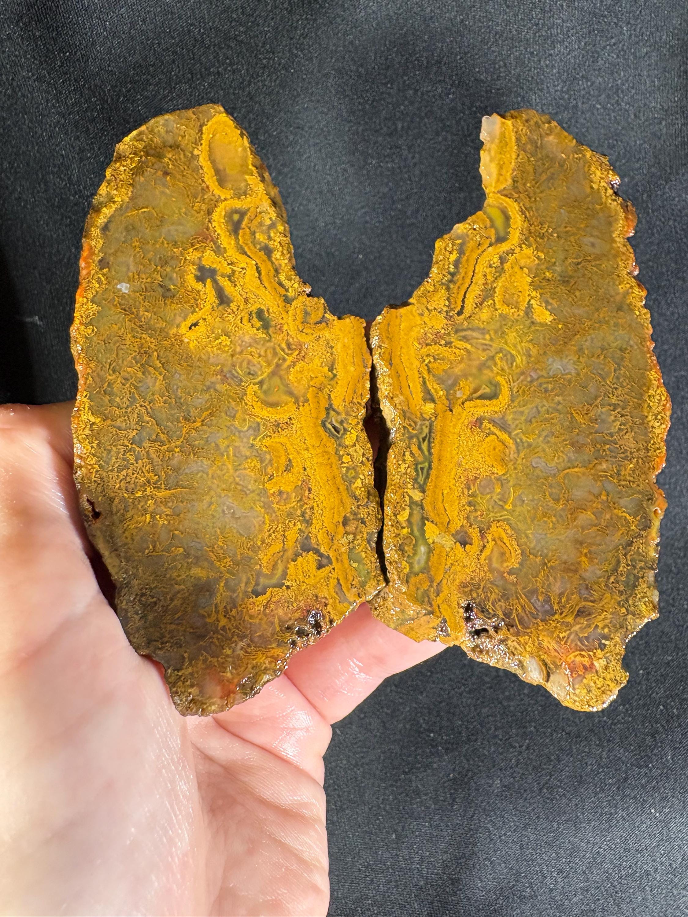 Black Sea Honey Moss Agate Pair – Golden Amber Plume