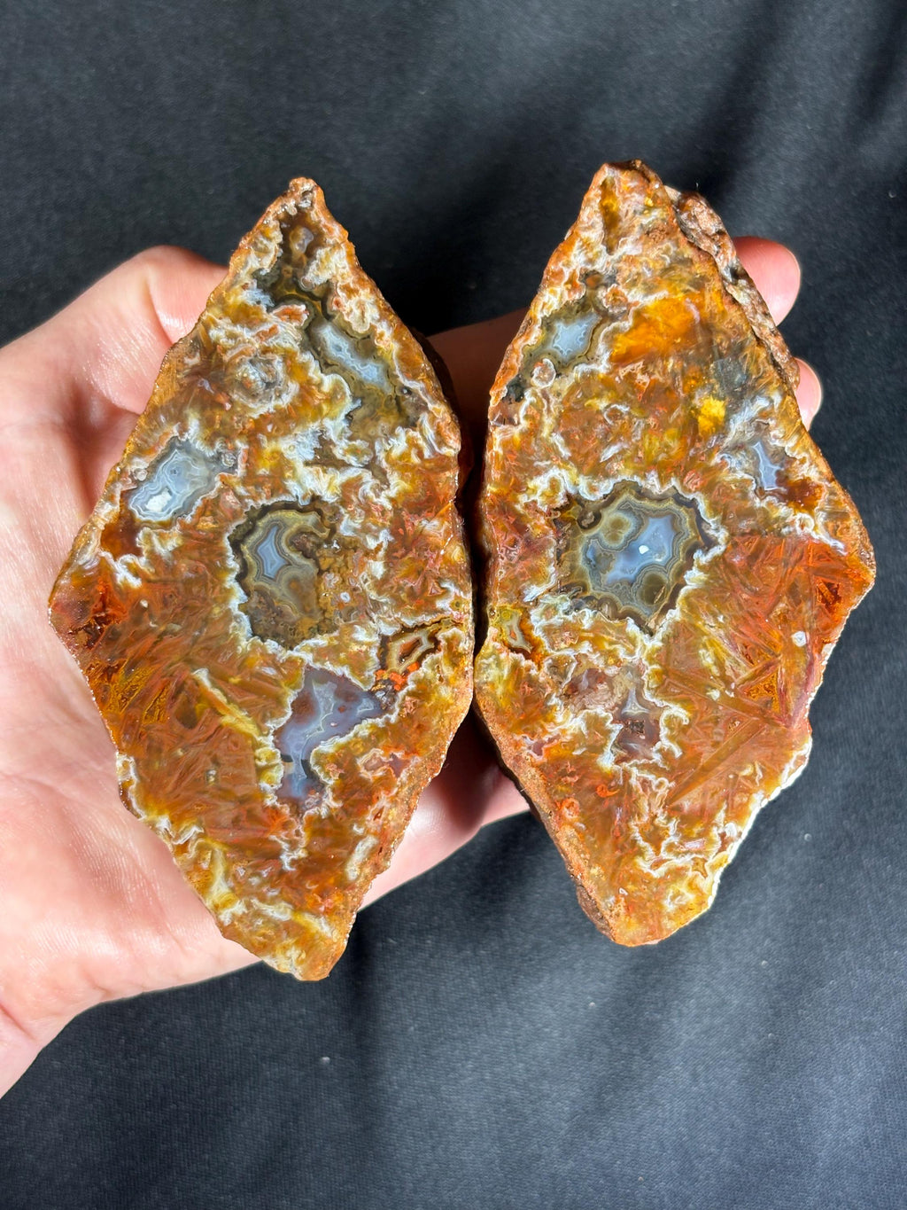 Rare Turkish Stick Agate & Plume Geode Pair