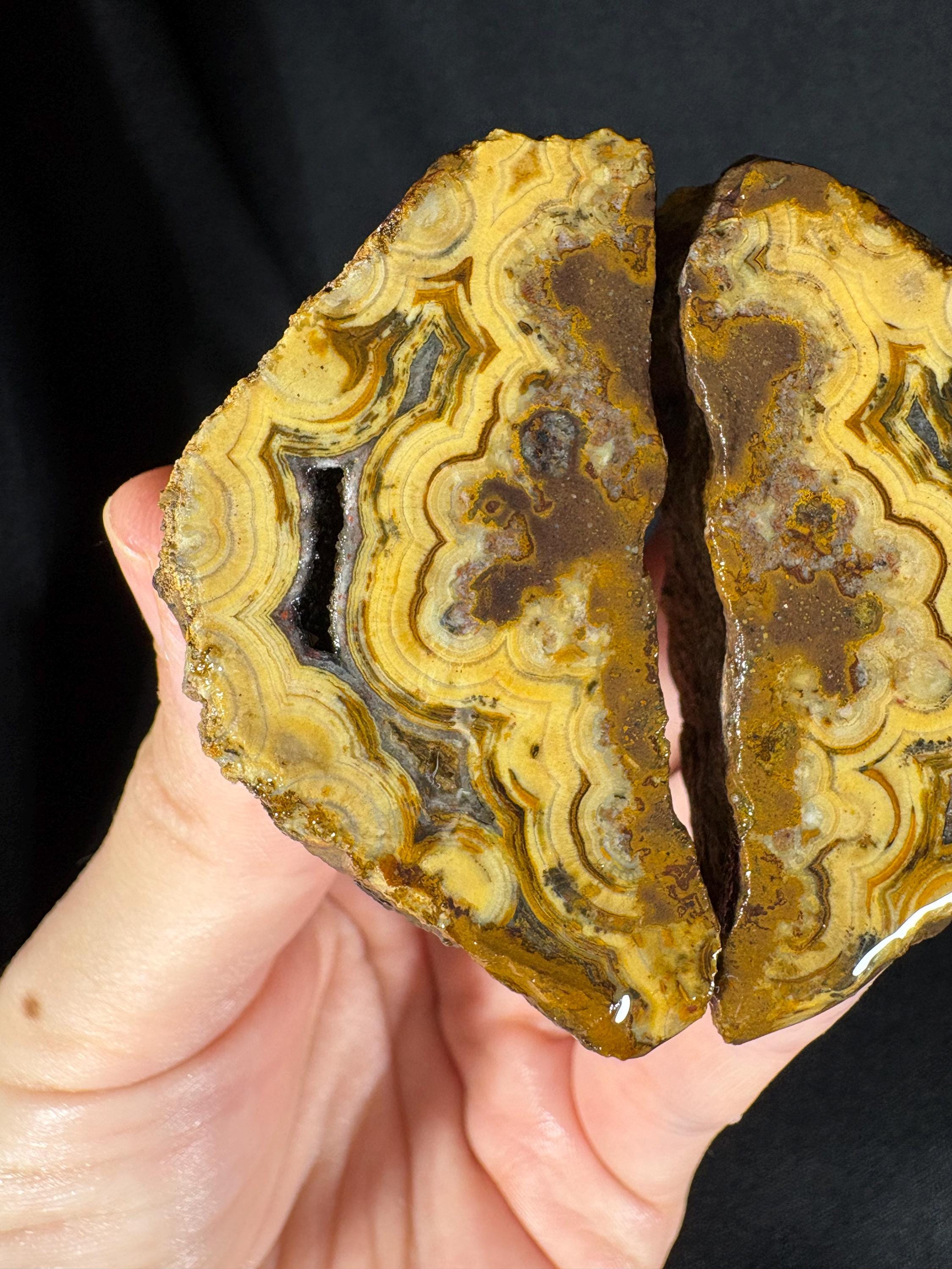 Golden "Baroque" Cloud Agate Pair