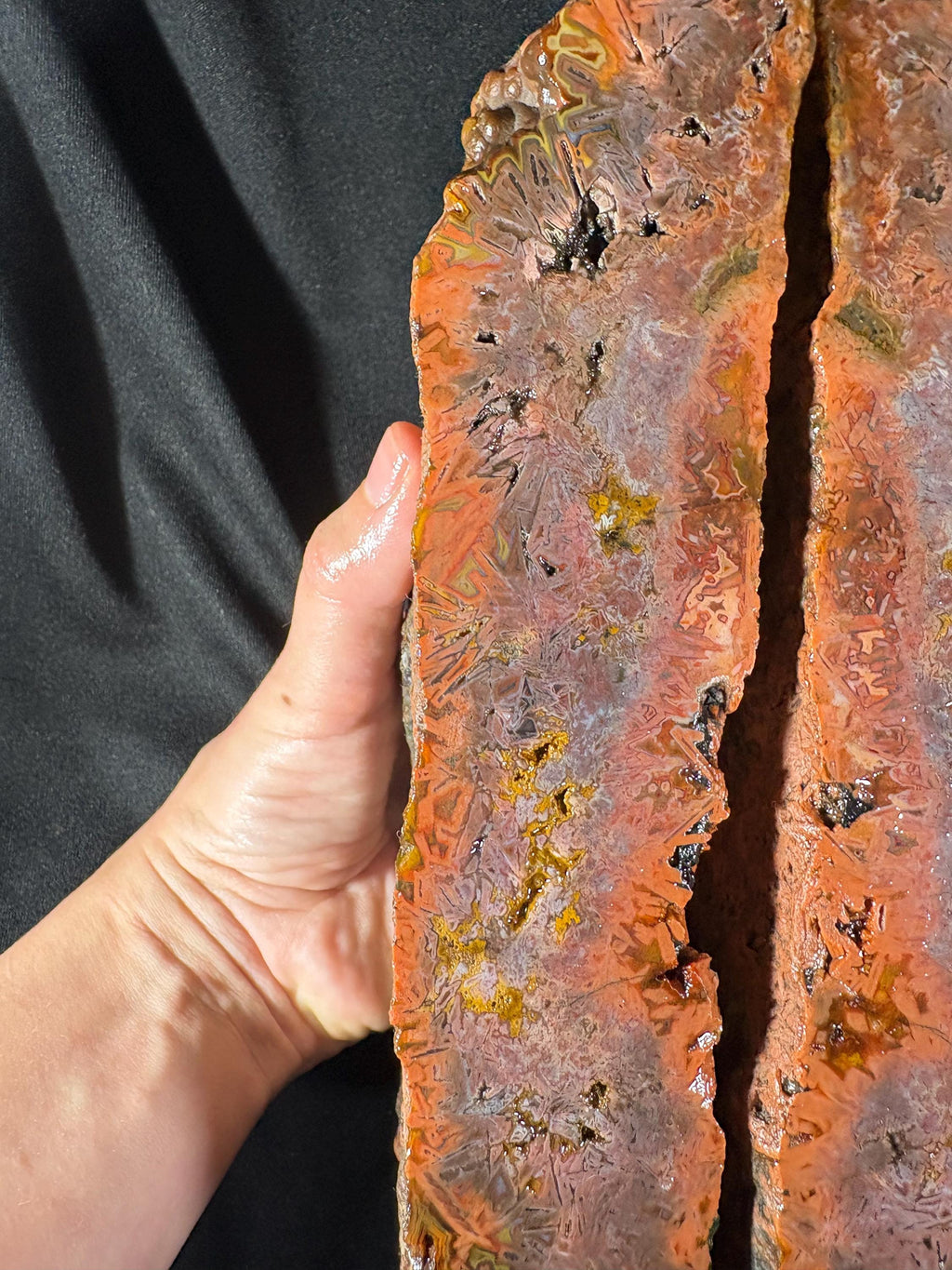 Red Sagenite Agate Pair | Rare Stick Agate Slices