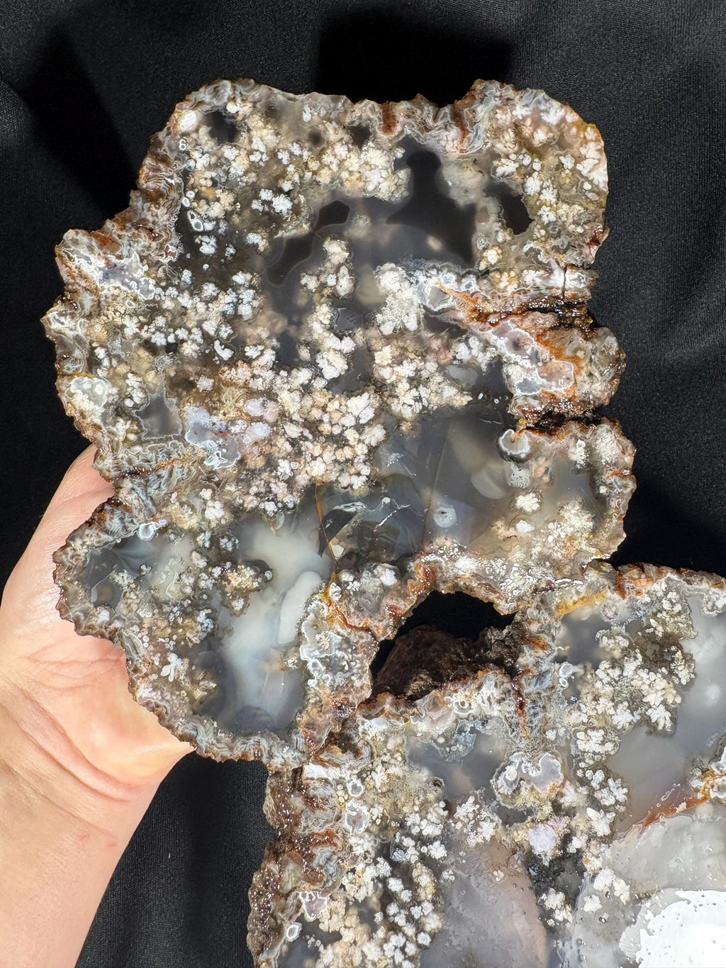 Black Flower Agate Geode Pair - Snowflake Plume