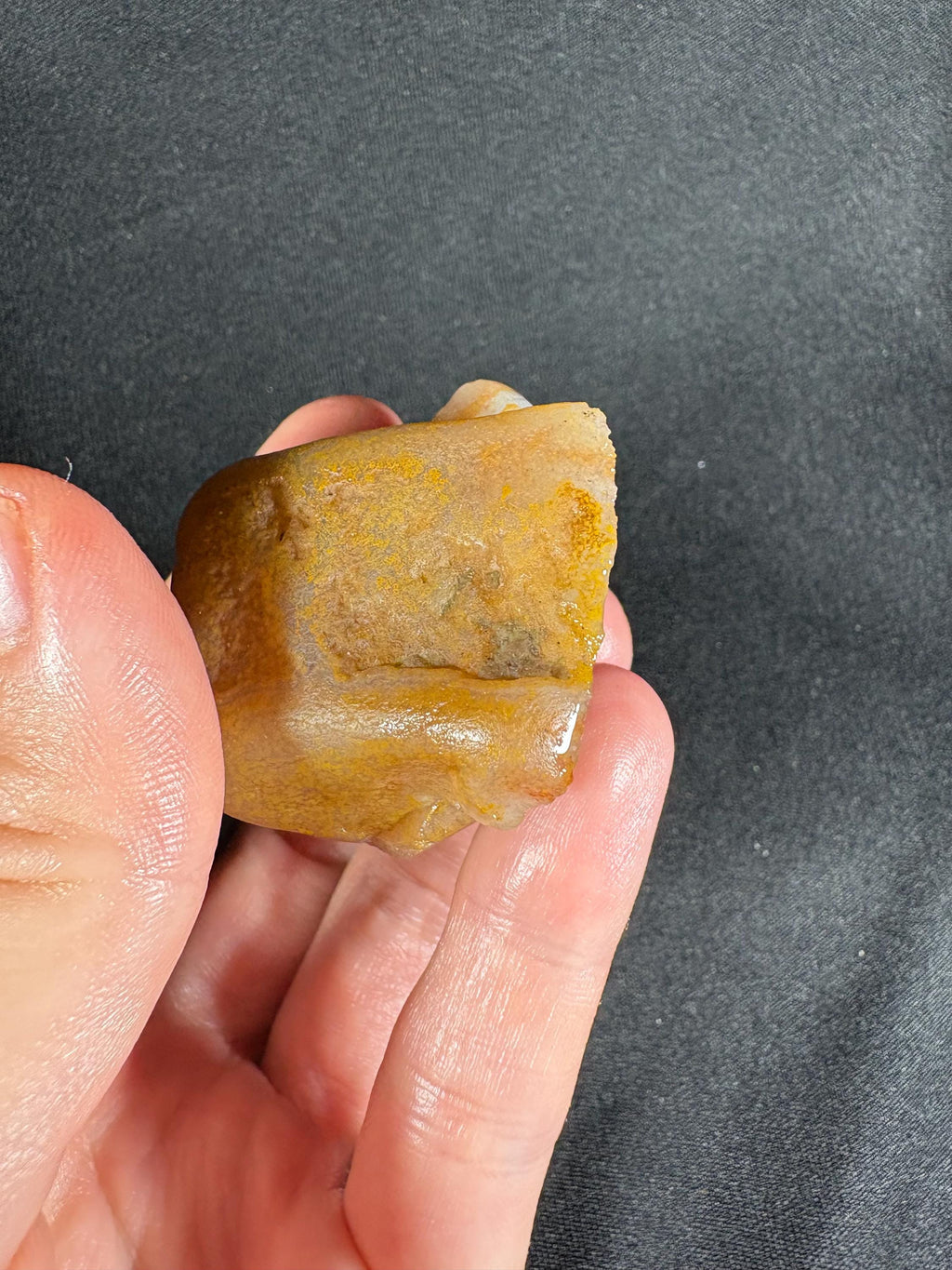 Turkish Fortification Agate Pair - Natural Banded Chalcedony Nodule
