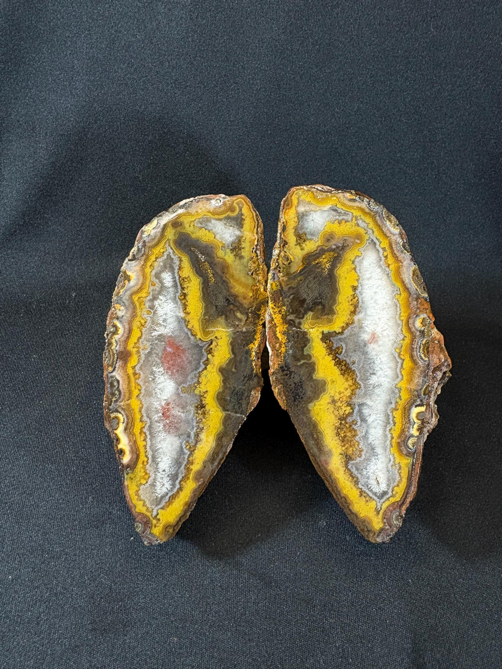 Natural Yellow Banded Agate Split Nodule Pair