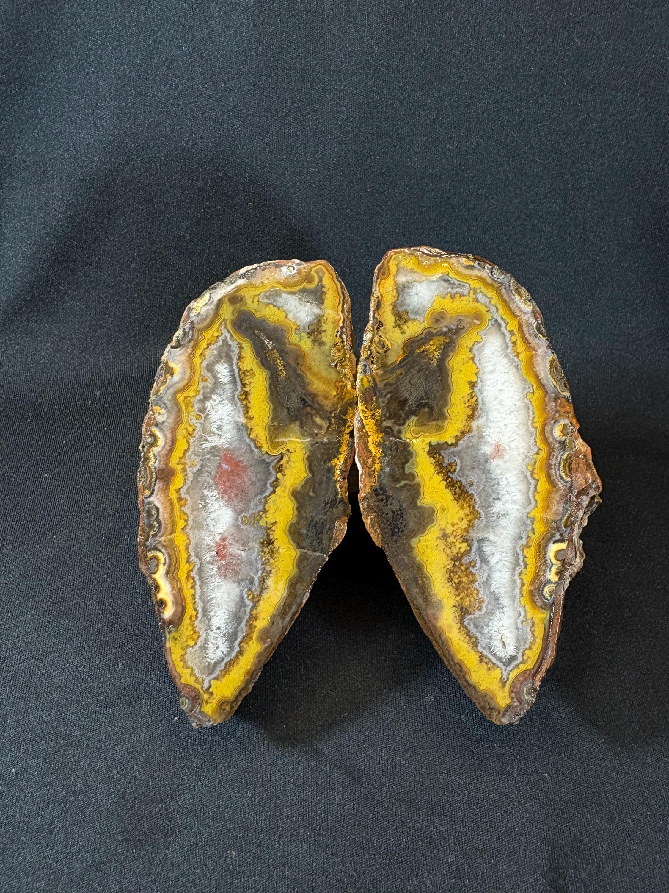 Natural Yellow Banded Agate Split Nodule Pair