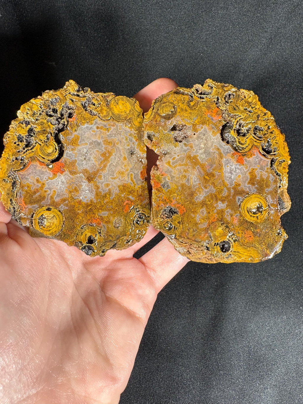 Yellow Crater Agate Pair
