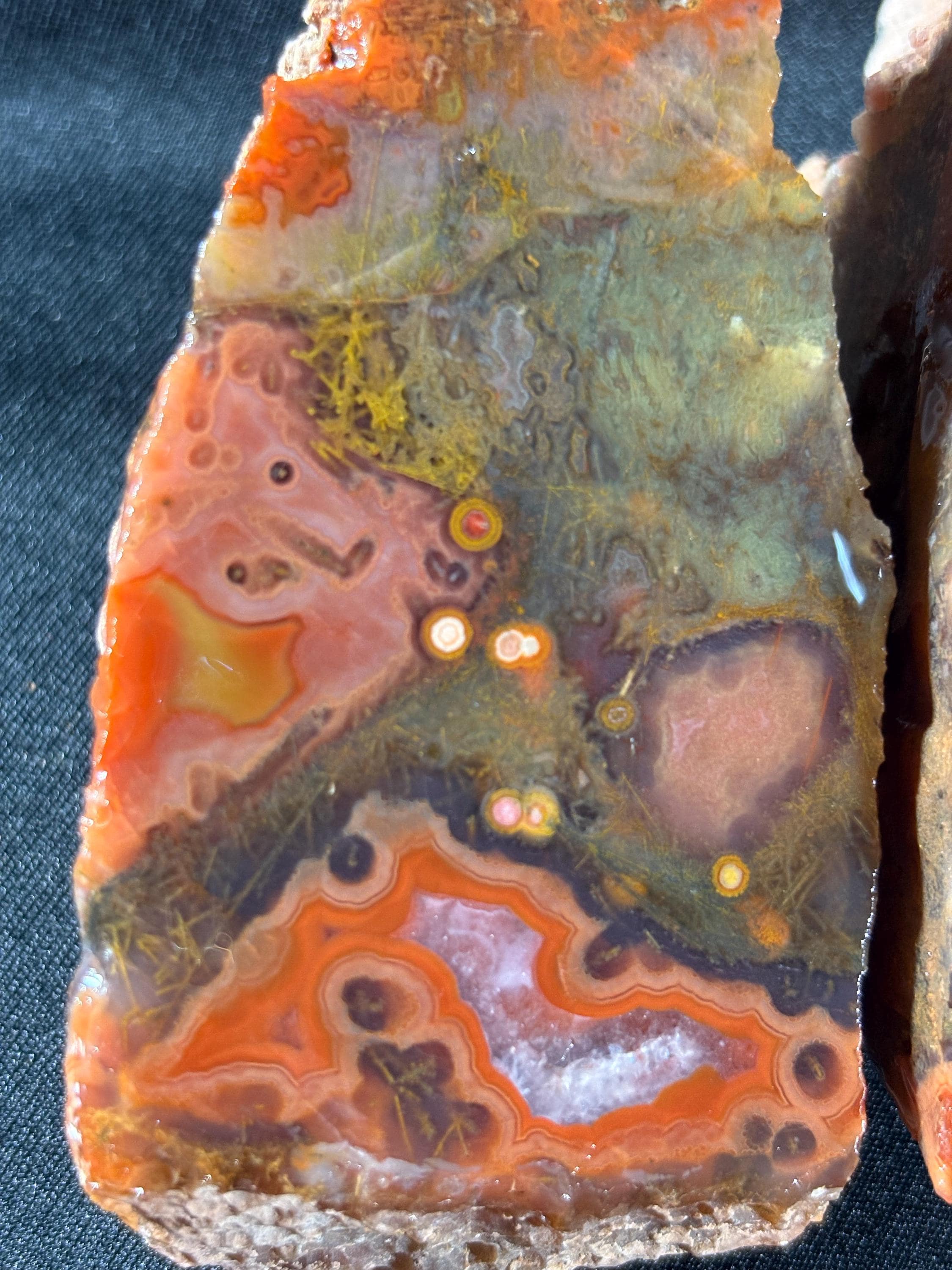Black Sea Coastal Orbicular Agate
