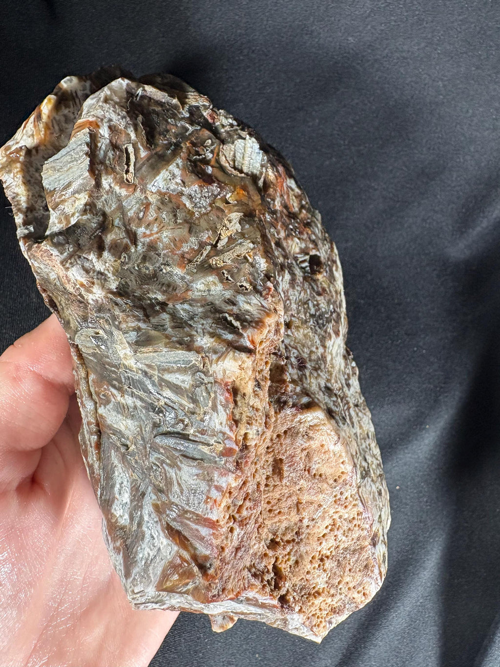 Stick Agate Geode Pair - Raw Needle Lattice