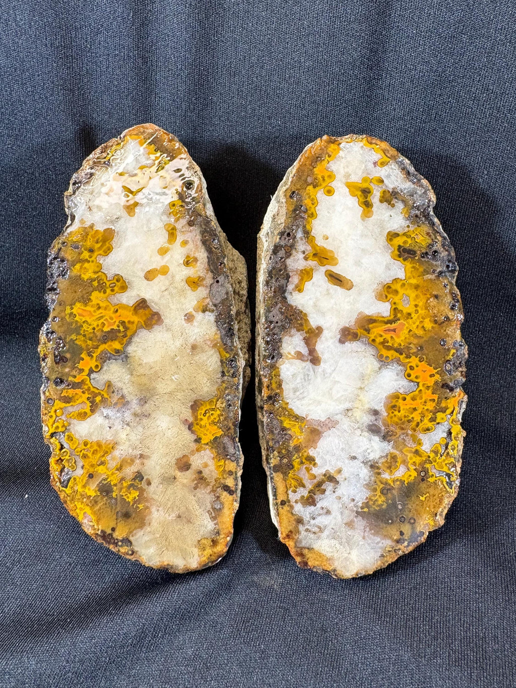 Natural Plume Agate Split Nodule Pair