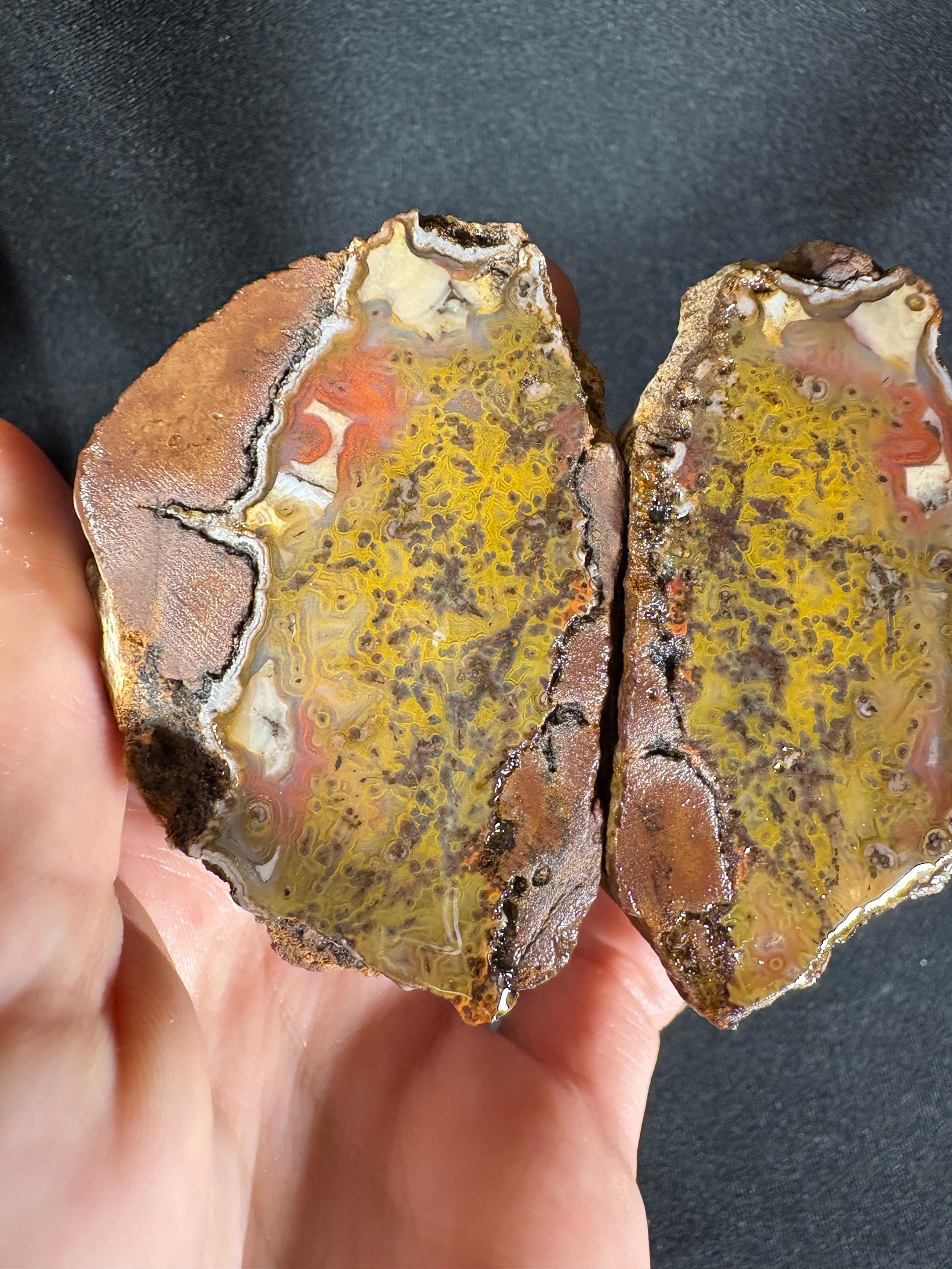 Rare Framed Plume Geode (Unpolished)
