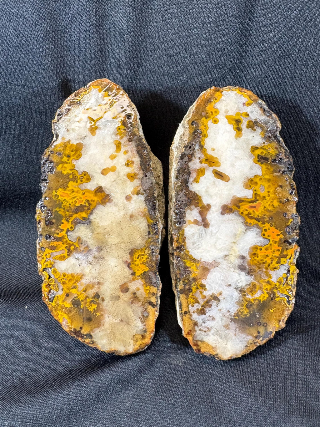 Natural Plume Agate Split Nodule Pair