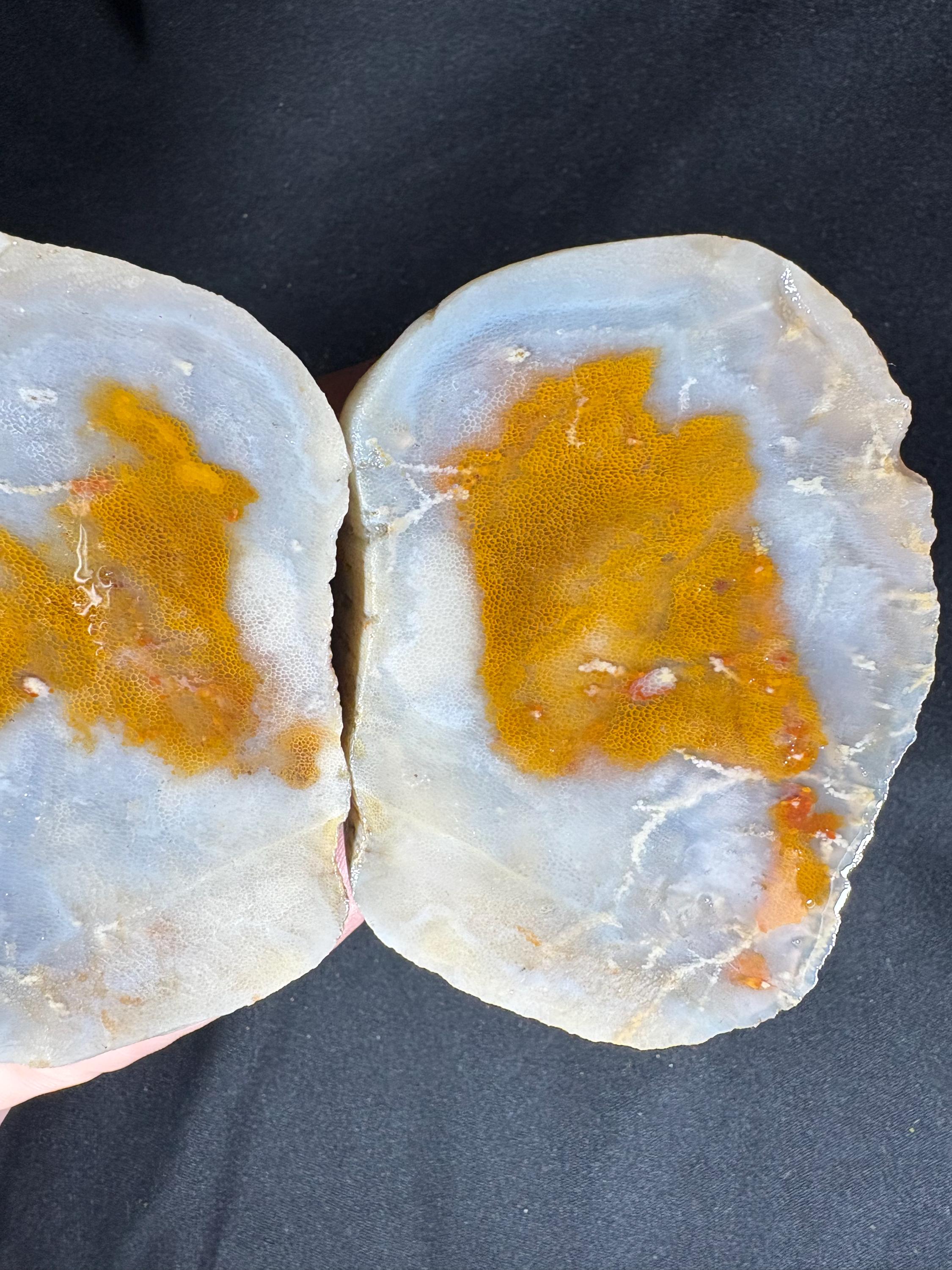 Fried Egg Agate Geode Pair - Sunny Side Up Yellow Plume Center - Raw Fun Collector Specimen