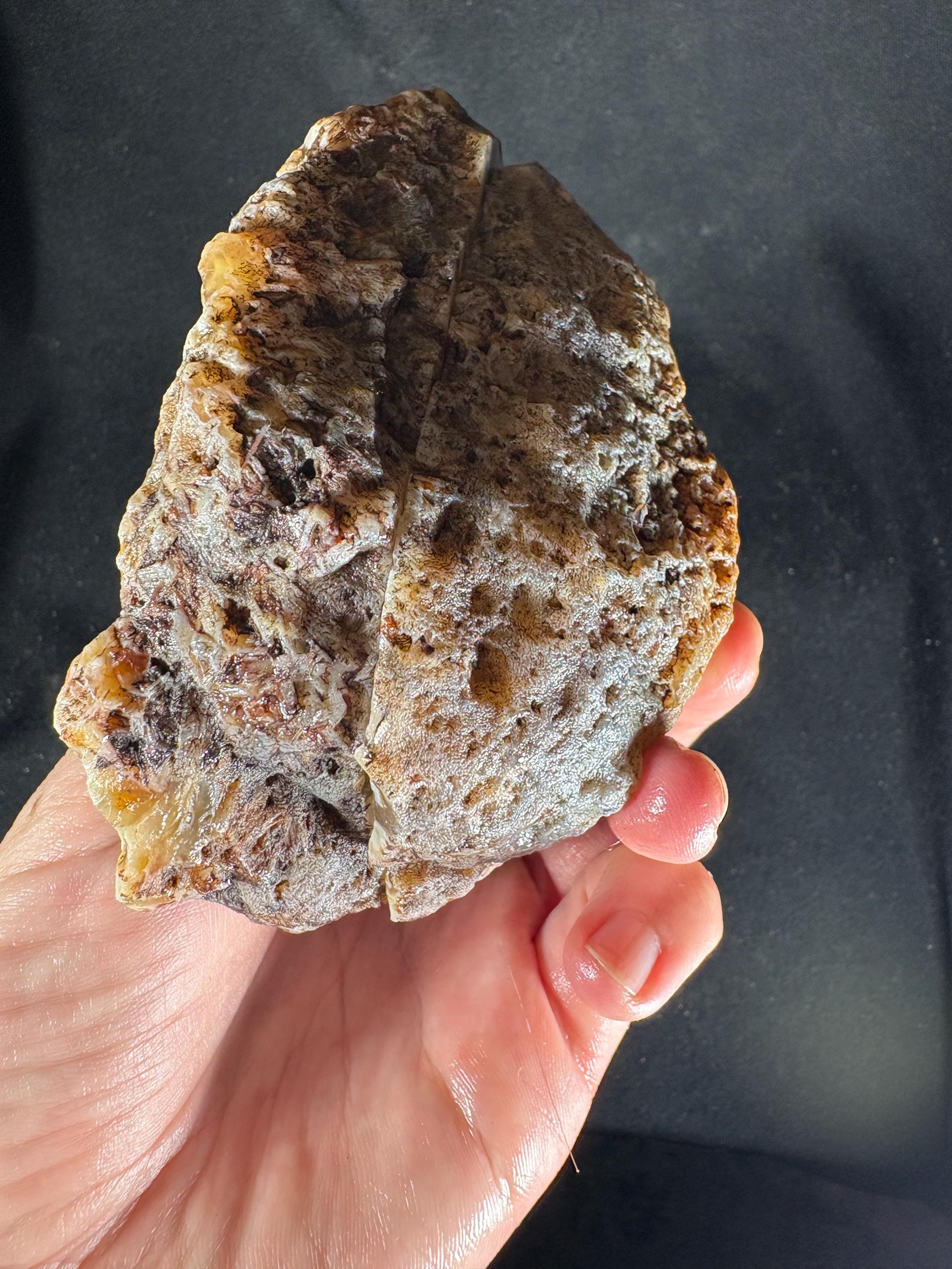 Raw Turkish Banded Agate Geodes - Blue Black and Dendritic Patterns