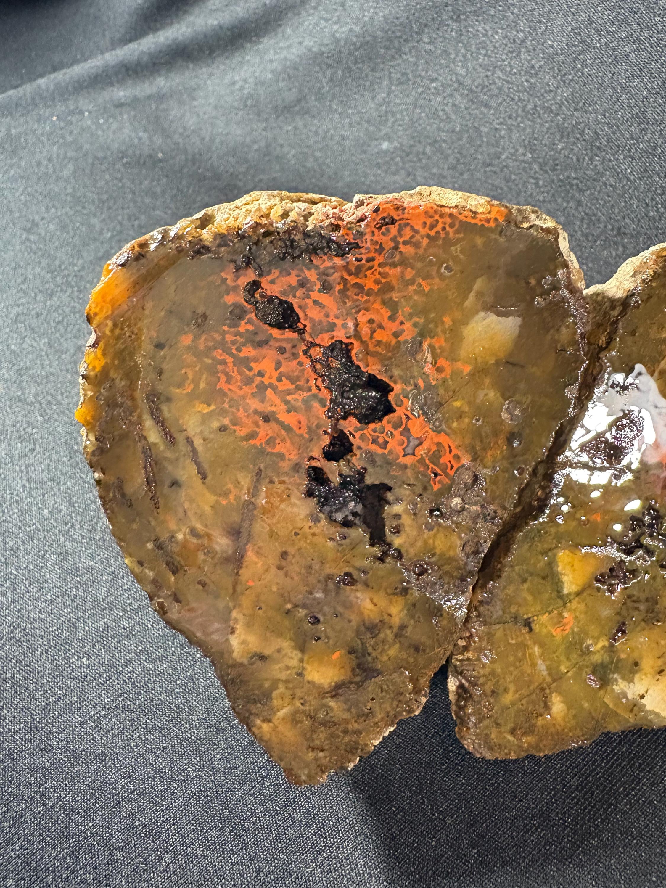 Raw Orbicular Agate Pair from Black Sea Region