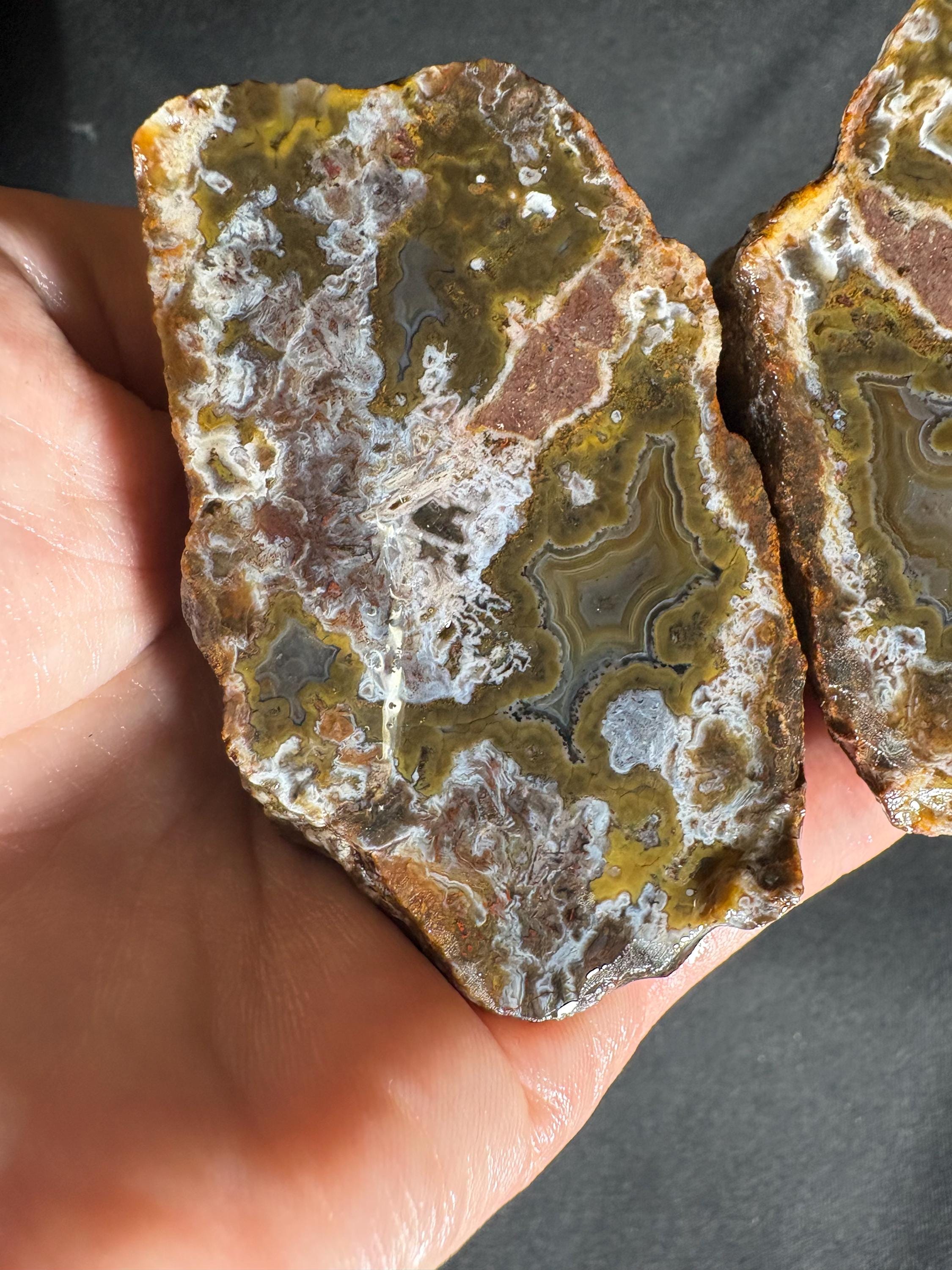 Turkish Moss Agate Pair