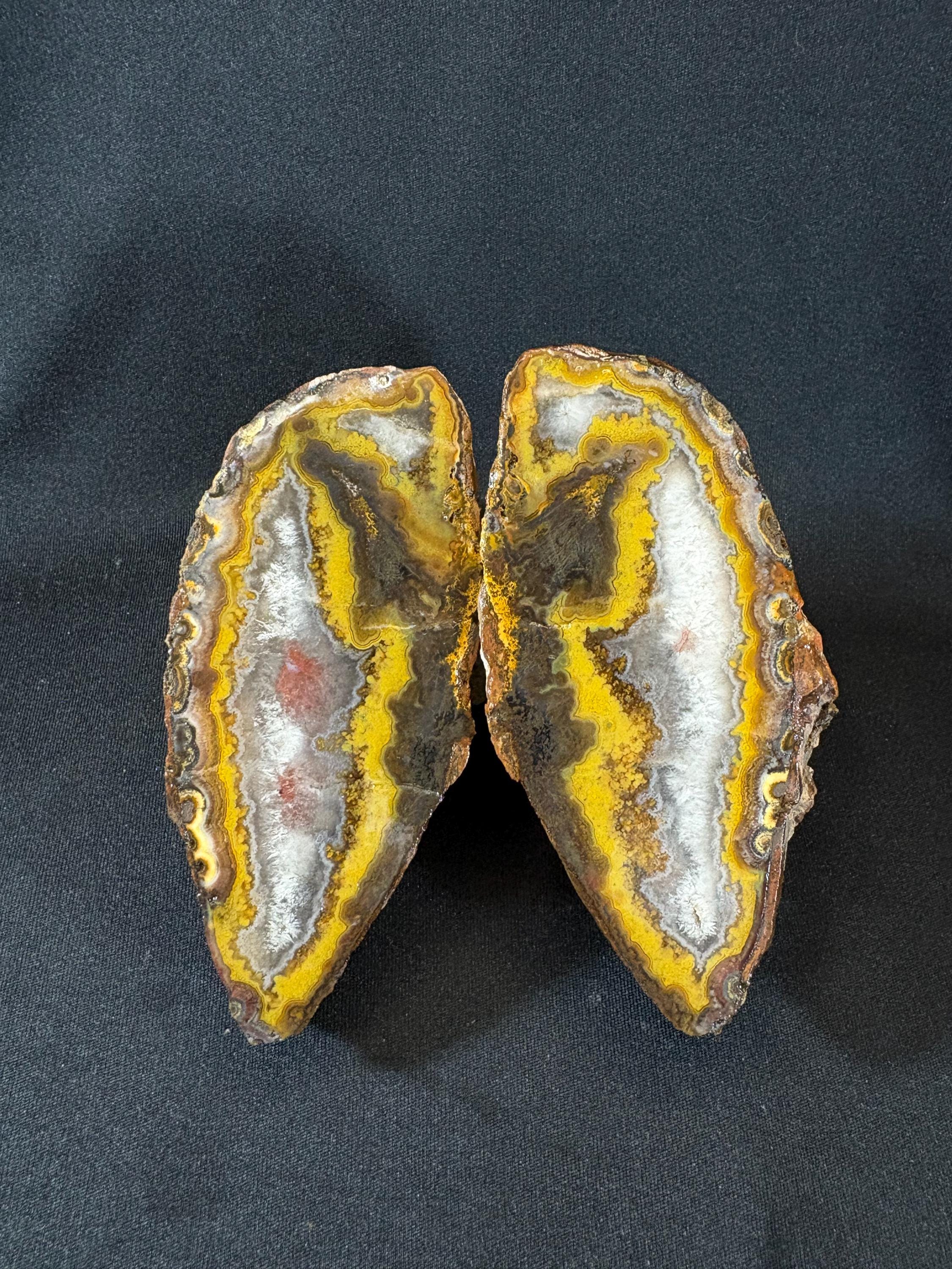 Natural Yellow Banded Agate Split Nodule Pair