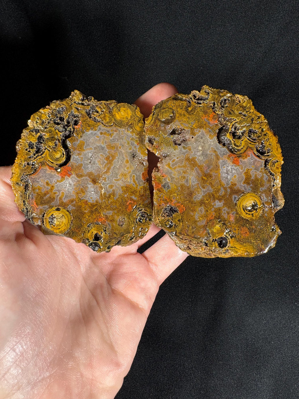 Yellow Crater Agate Pair
