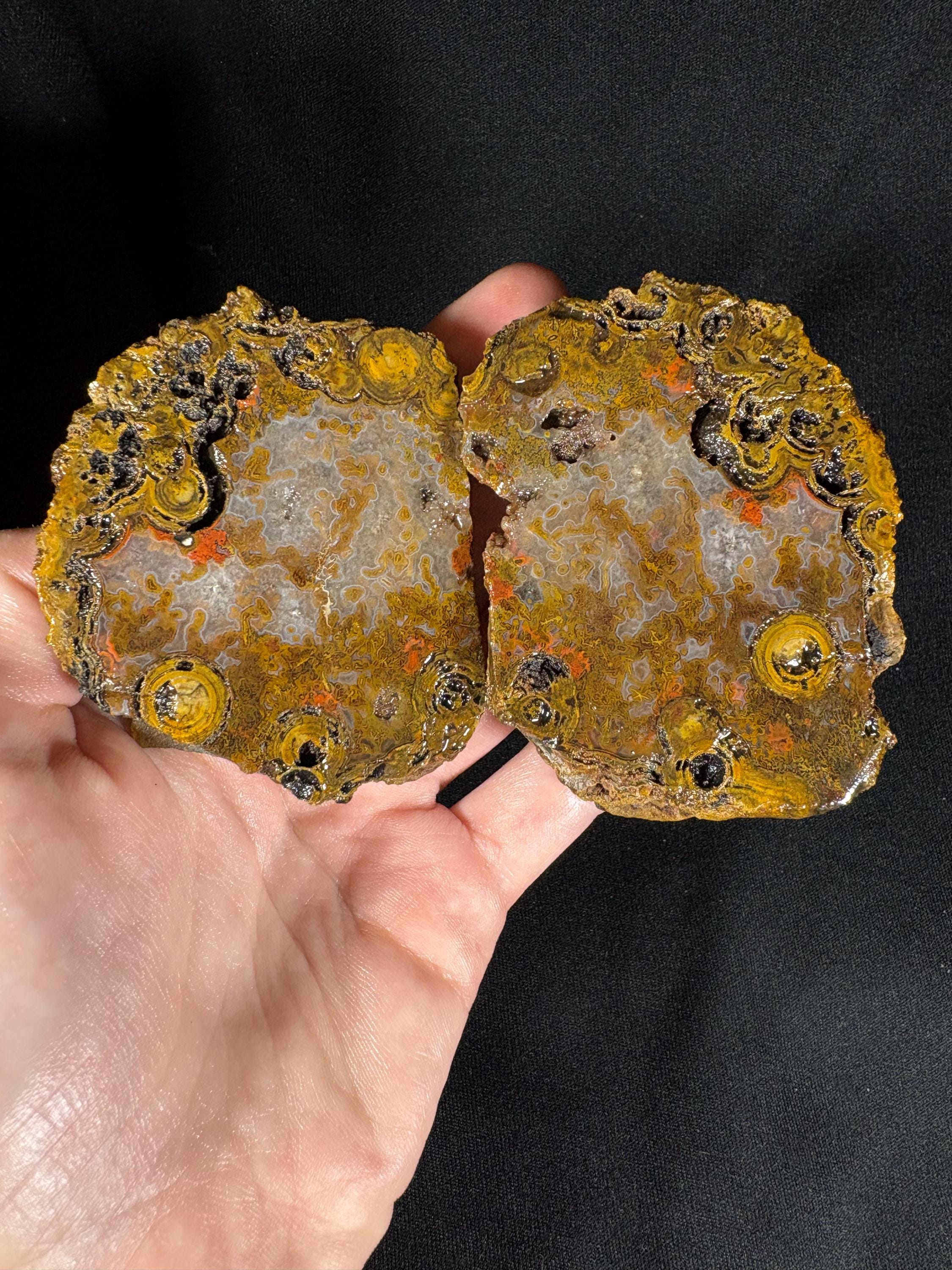 Yellow Crater Agate Pair