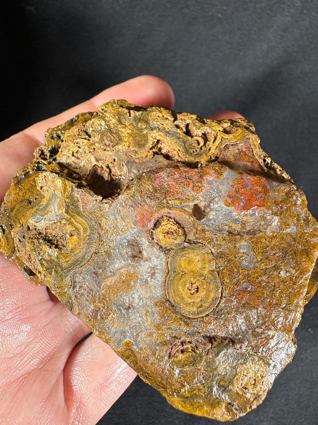 Yellow Crater Agate Pair